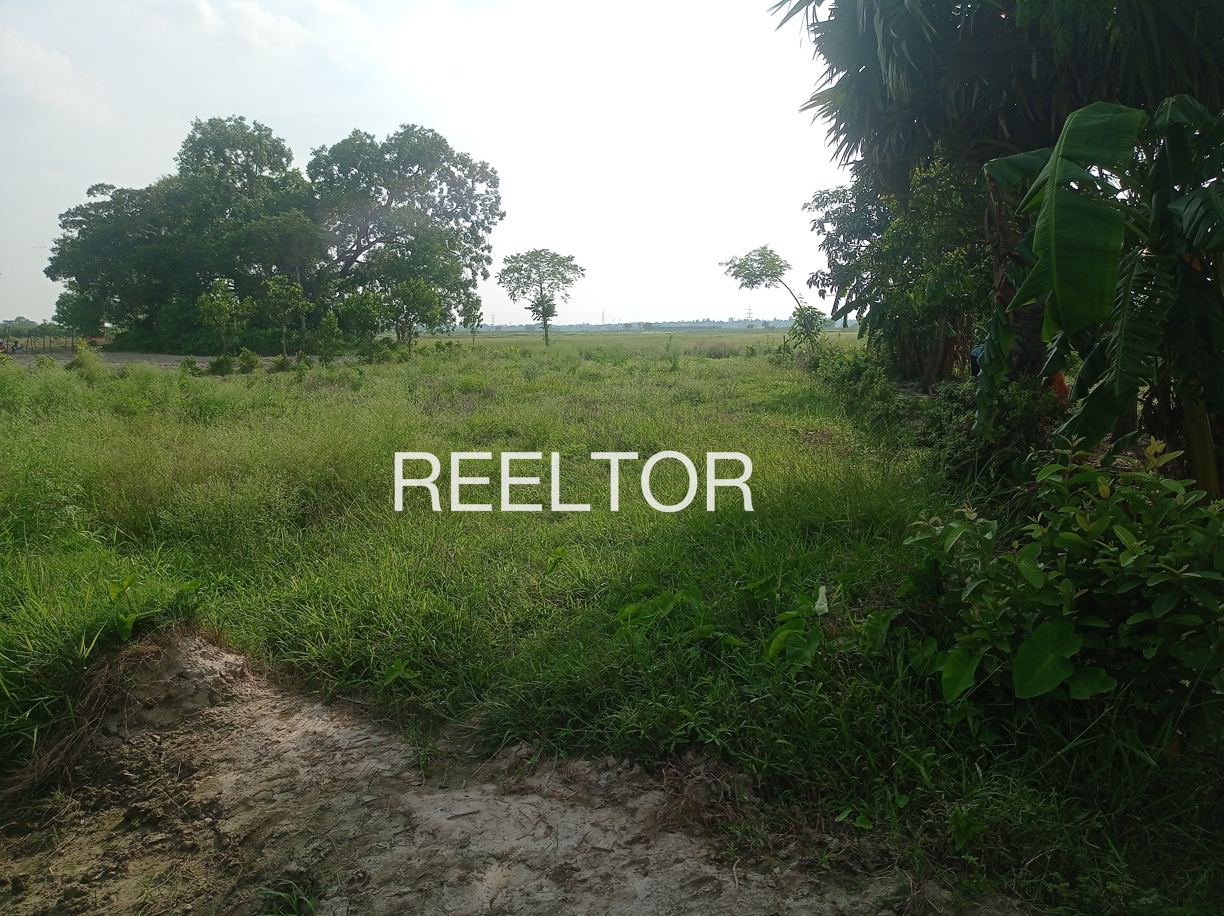 Plots For Sale In Wadikalya Goan Ambad