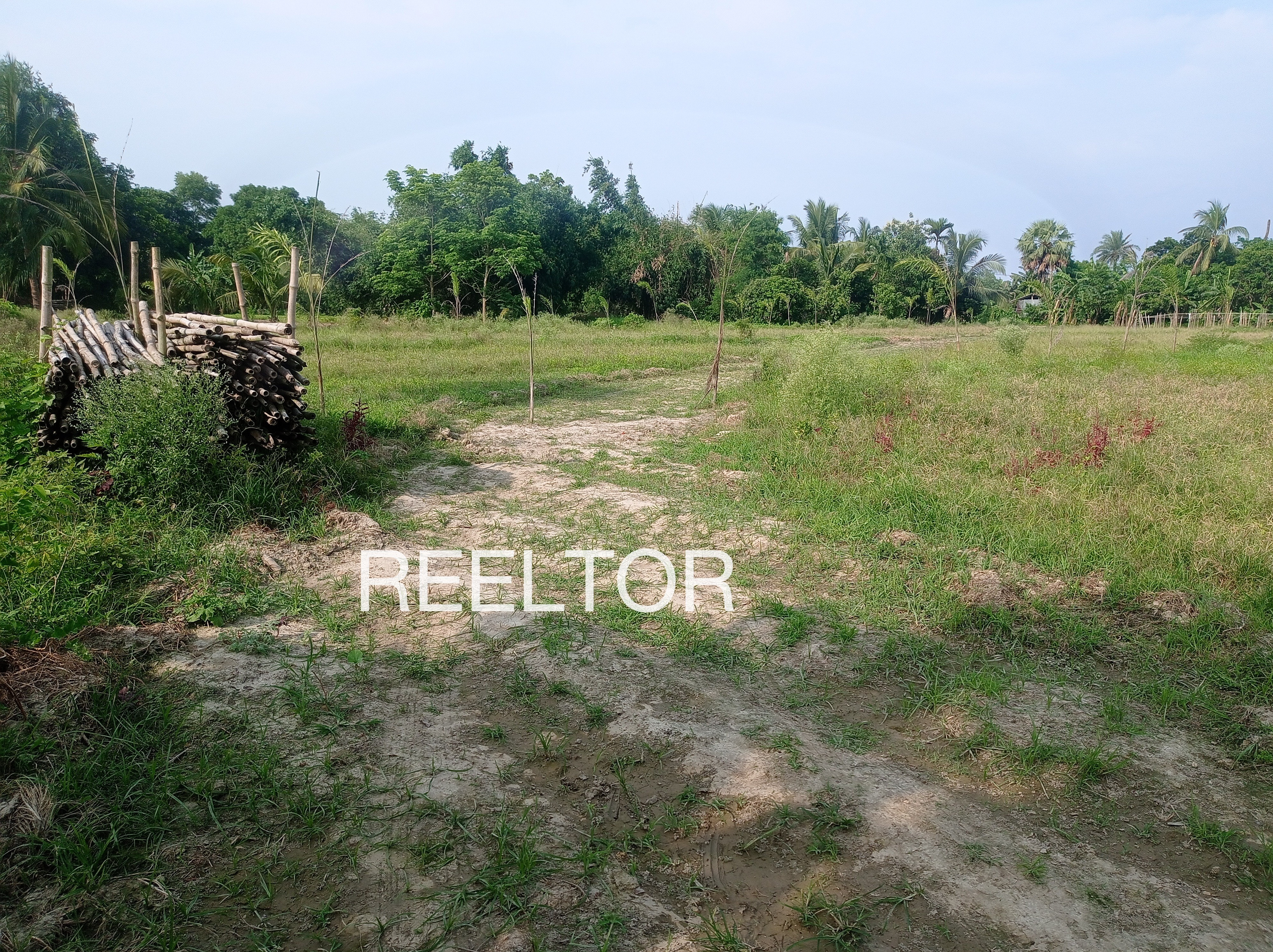 Plots For Sale In Nekpur Uchhain