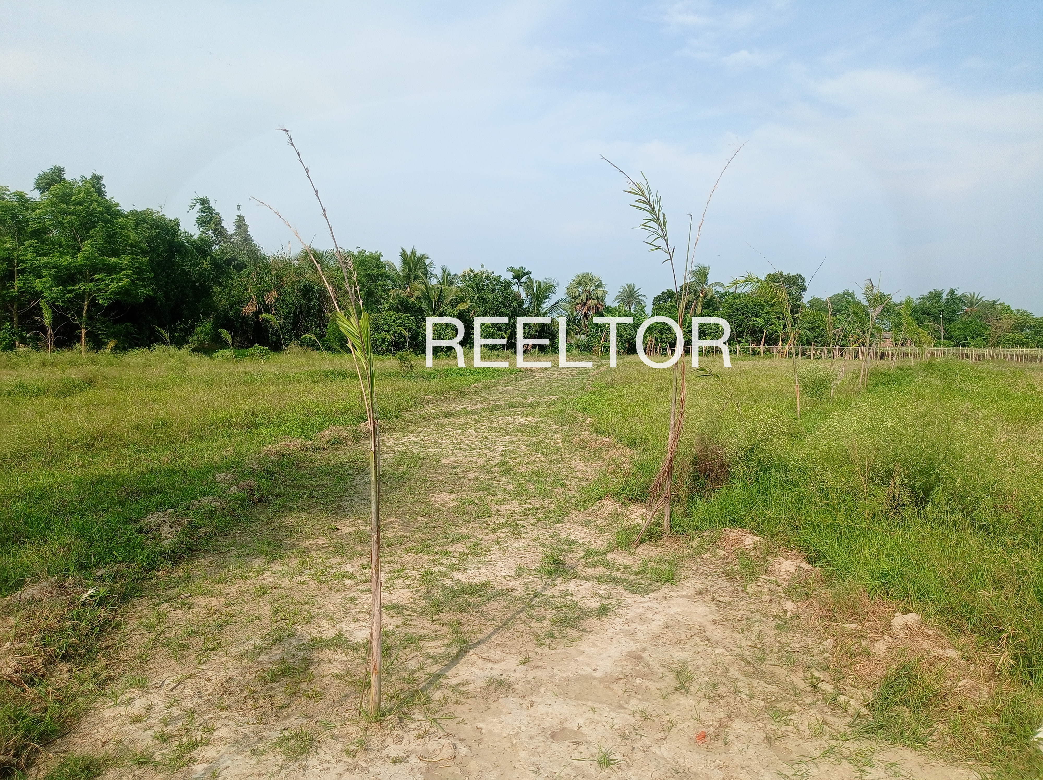 Plots For Sale In Purabdih Gola