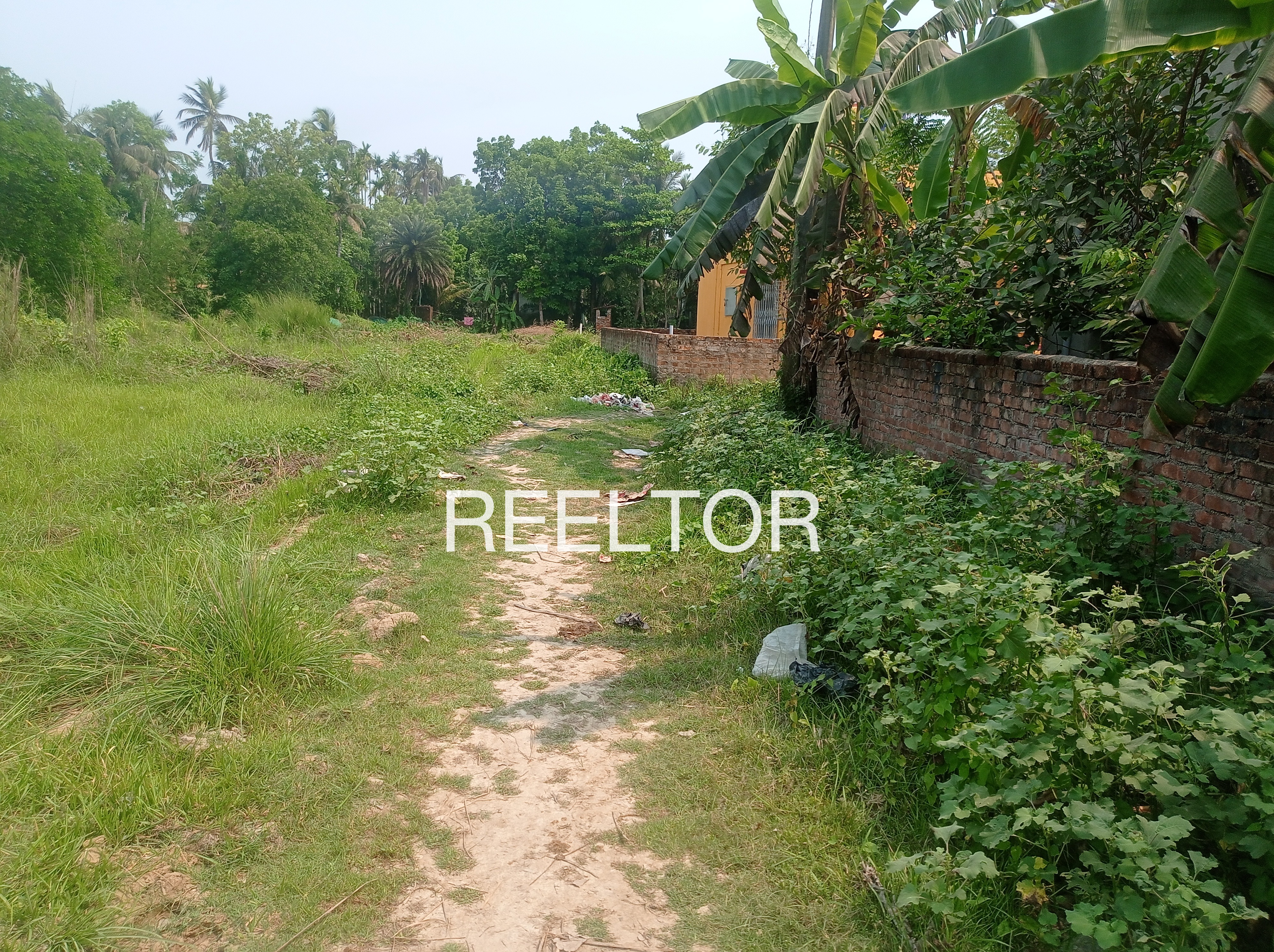 Plots For Sale In Bandhi Maihar