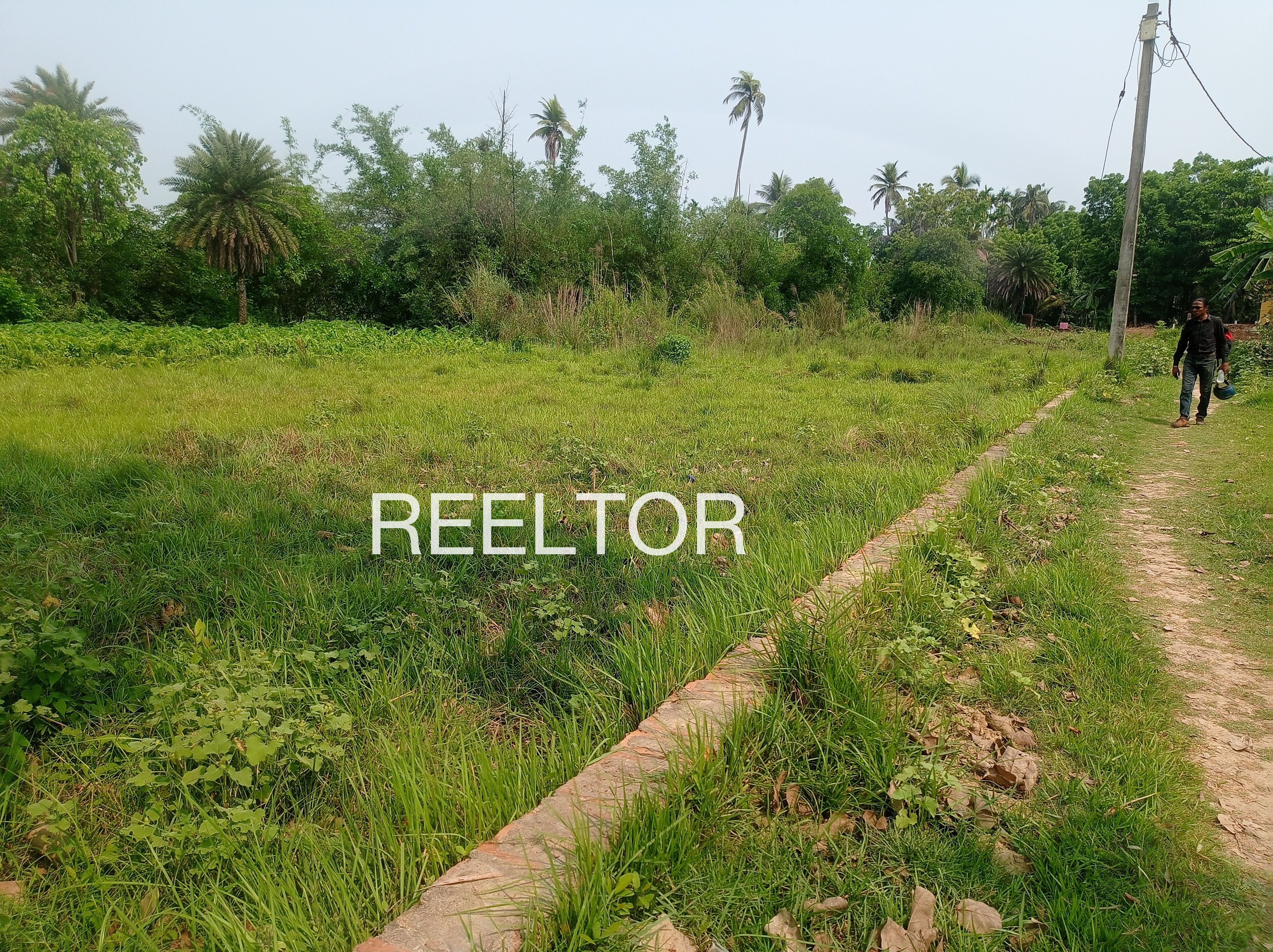 Plots For Sale In Barbaspur Lalbarra