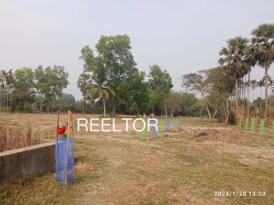 Plots For Sale In Balvanthapur Duggondi