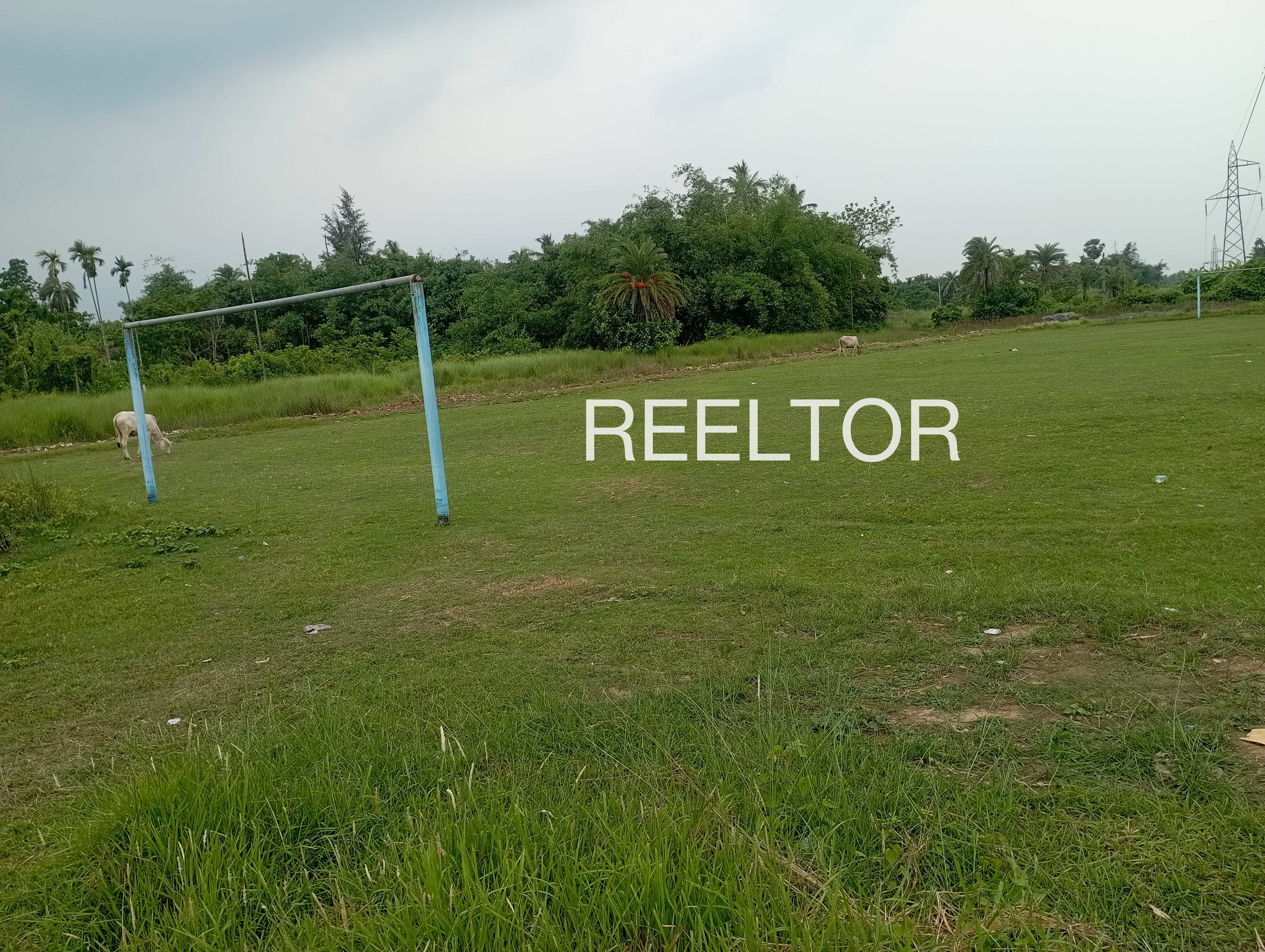 Plots For Sale In Tsokilpur Shangus