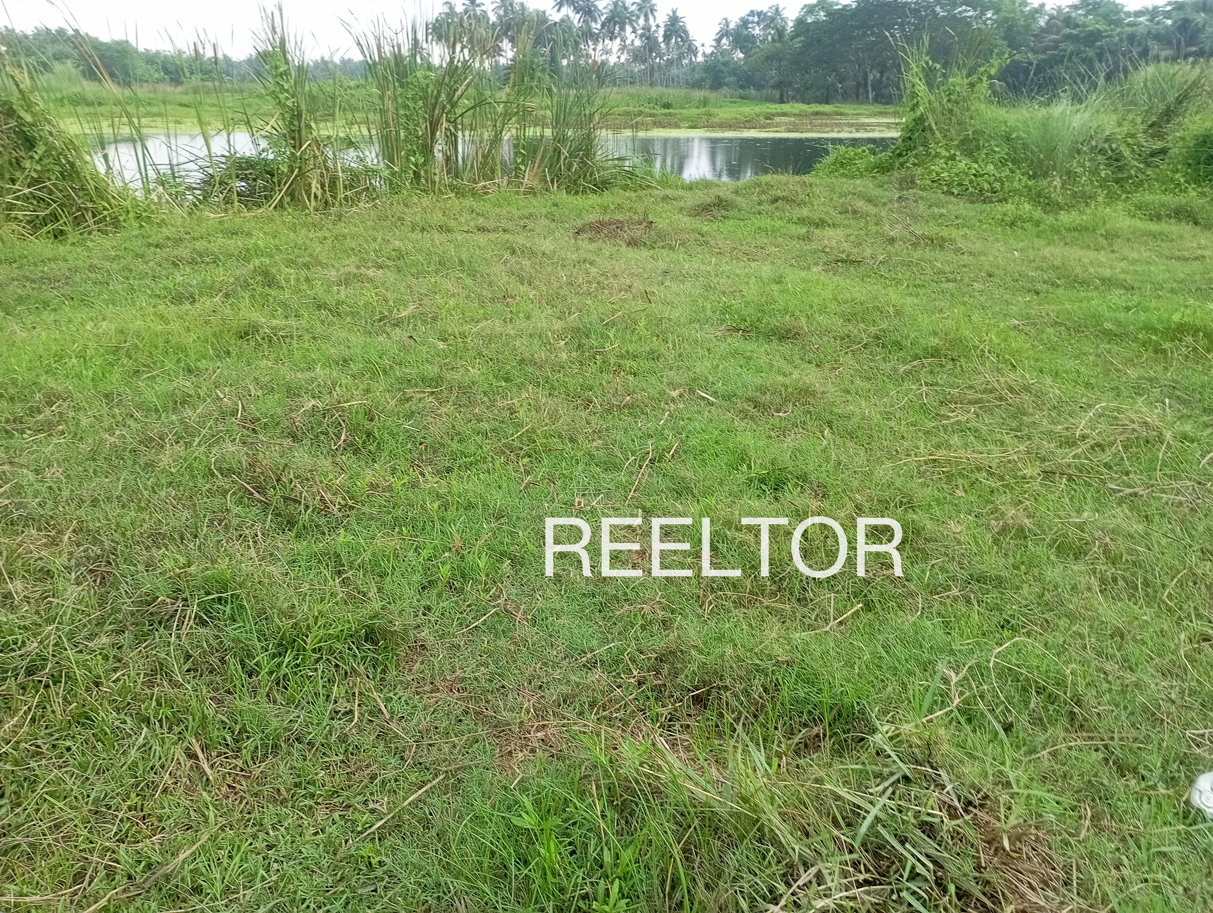 Plots For Sale In Haatkhola Barasat