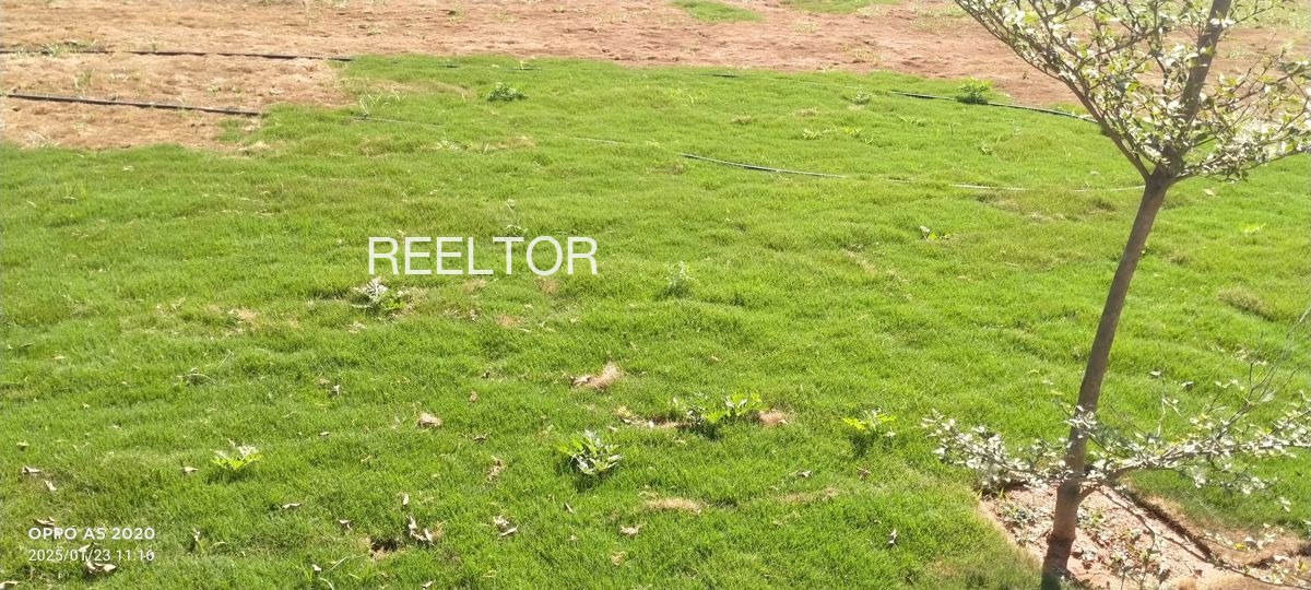 Plots For Sale In Darh Chachyot