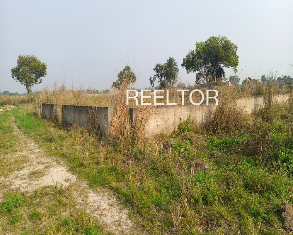 Plots For Sale In Anupakhor Basti