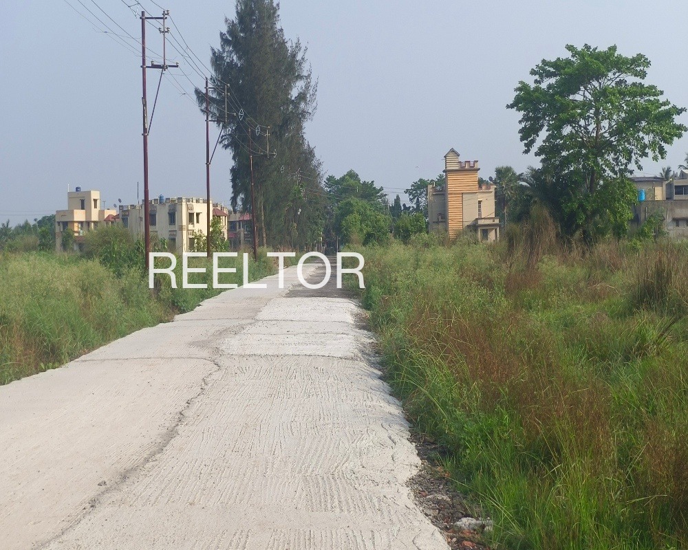 Plots For Sale In Pipliumarpur Thakurdwara