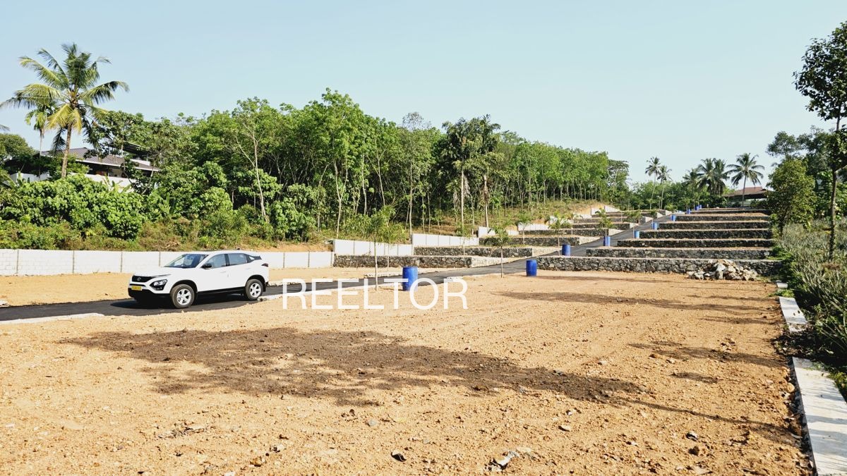 Plots For Sale In Kokri Phula Singh Moga