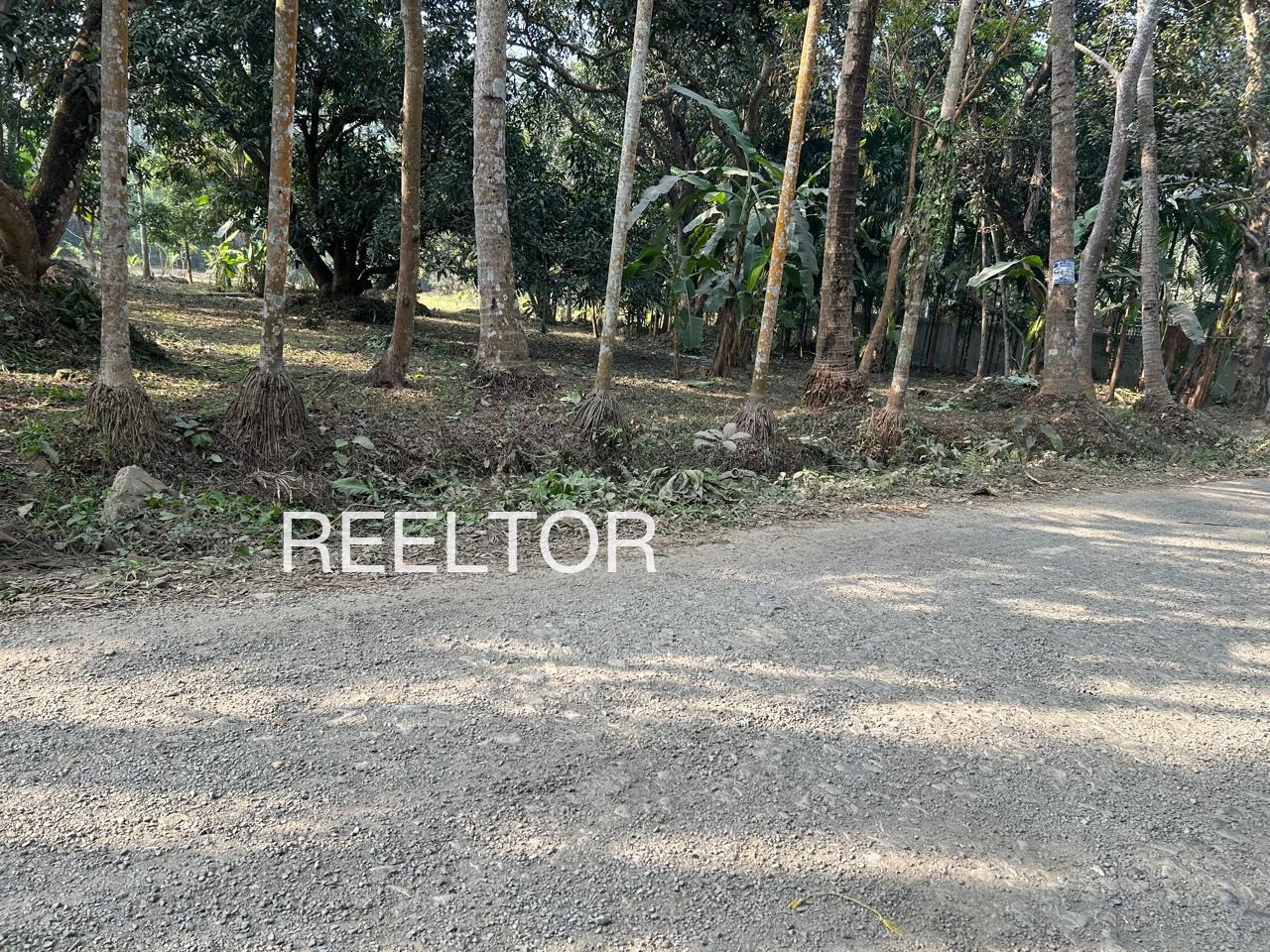 Plots For Sale In Nanodiya Banera