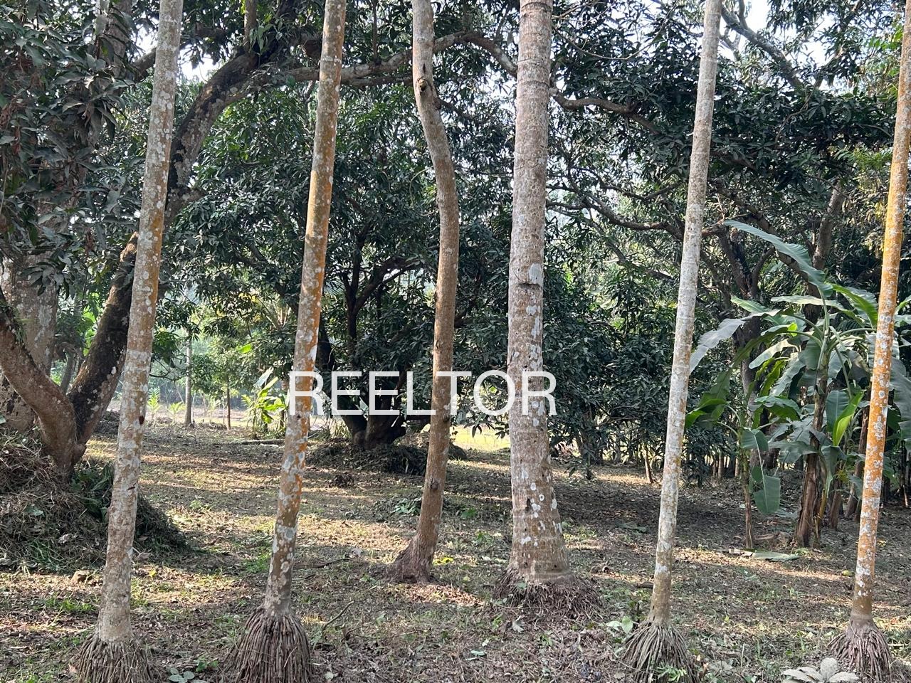 Plots For Sale In Poyyaputhur Krishnarayapuram