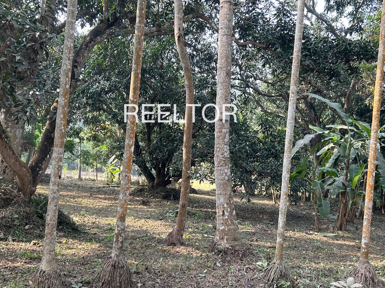 Plots For Sale In Yelabara Yavatmal