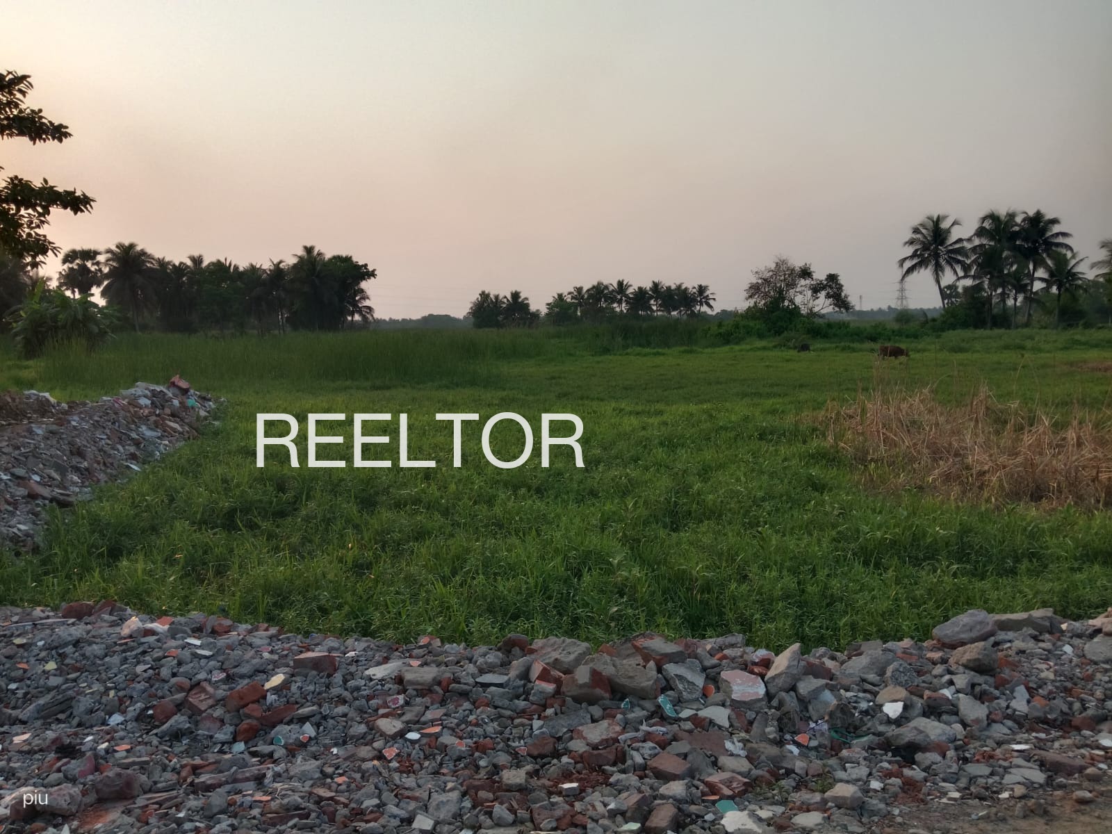 Plots For Sale In Suk Tawa Itarsi