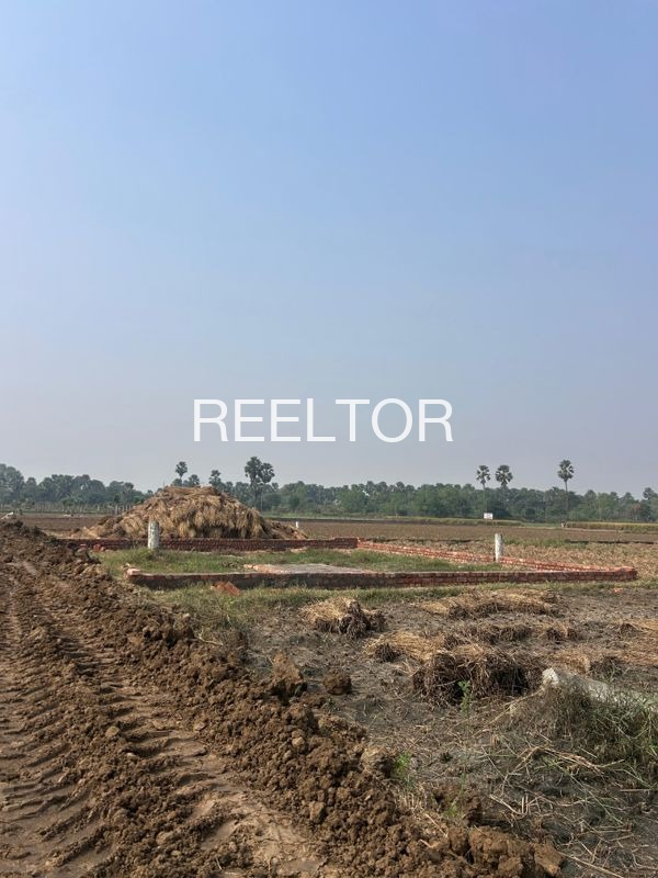 Plots For Sale In Pipariya Dhakoni Isagarh