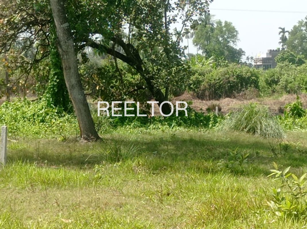 Plots For Sale In Karkdoh Pod Yavatmal