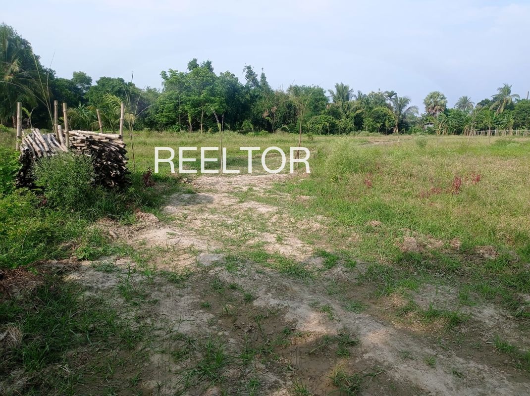 Plots For Sale In Tsokilpur Shangus