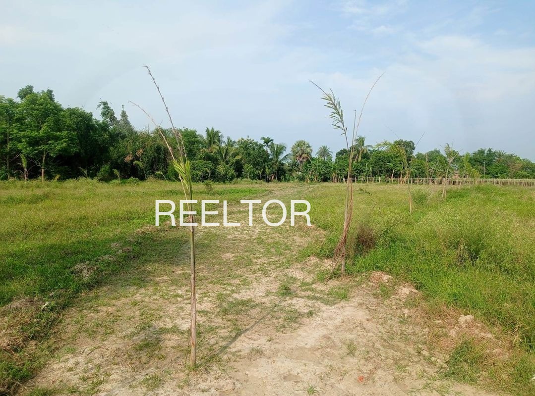 Plots For Sale In Matili Rathan Ganganagar