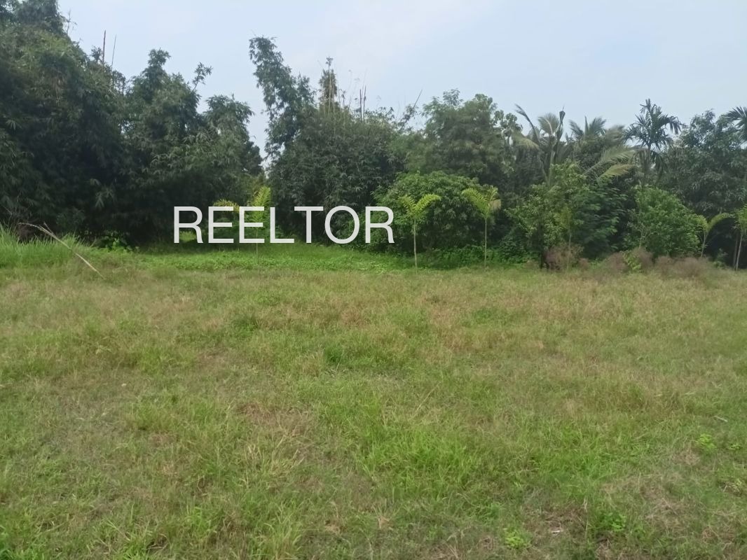 Plots For Sale In Dhamanpeth Gondpipri