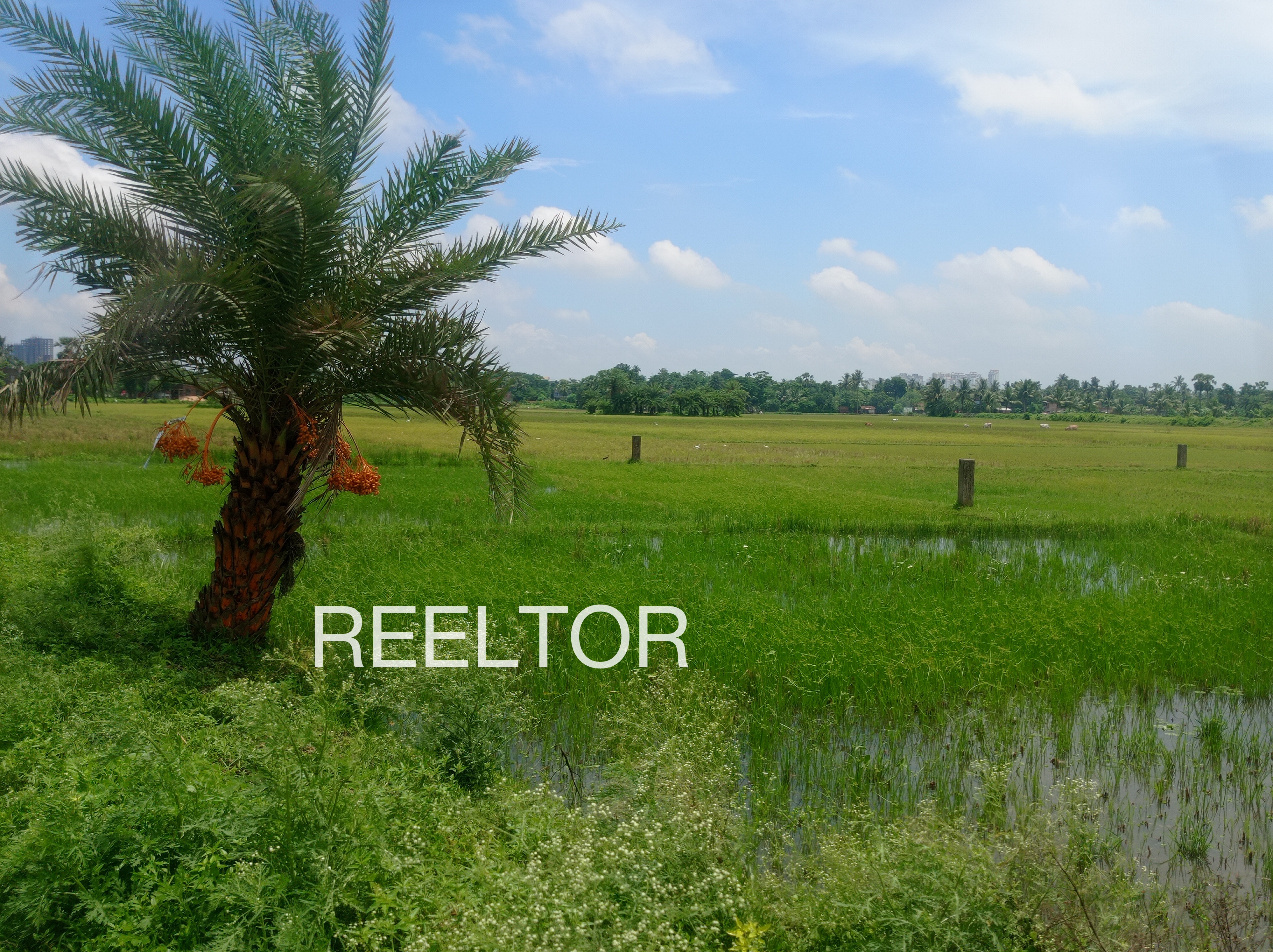 Plots For Sale In Sikursai Khuntpani