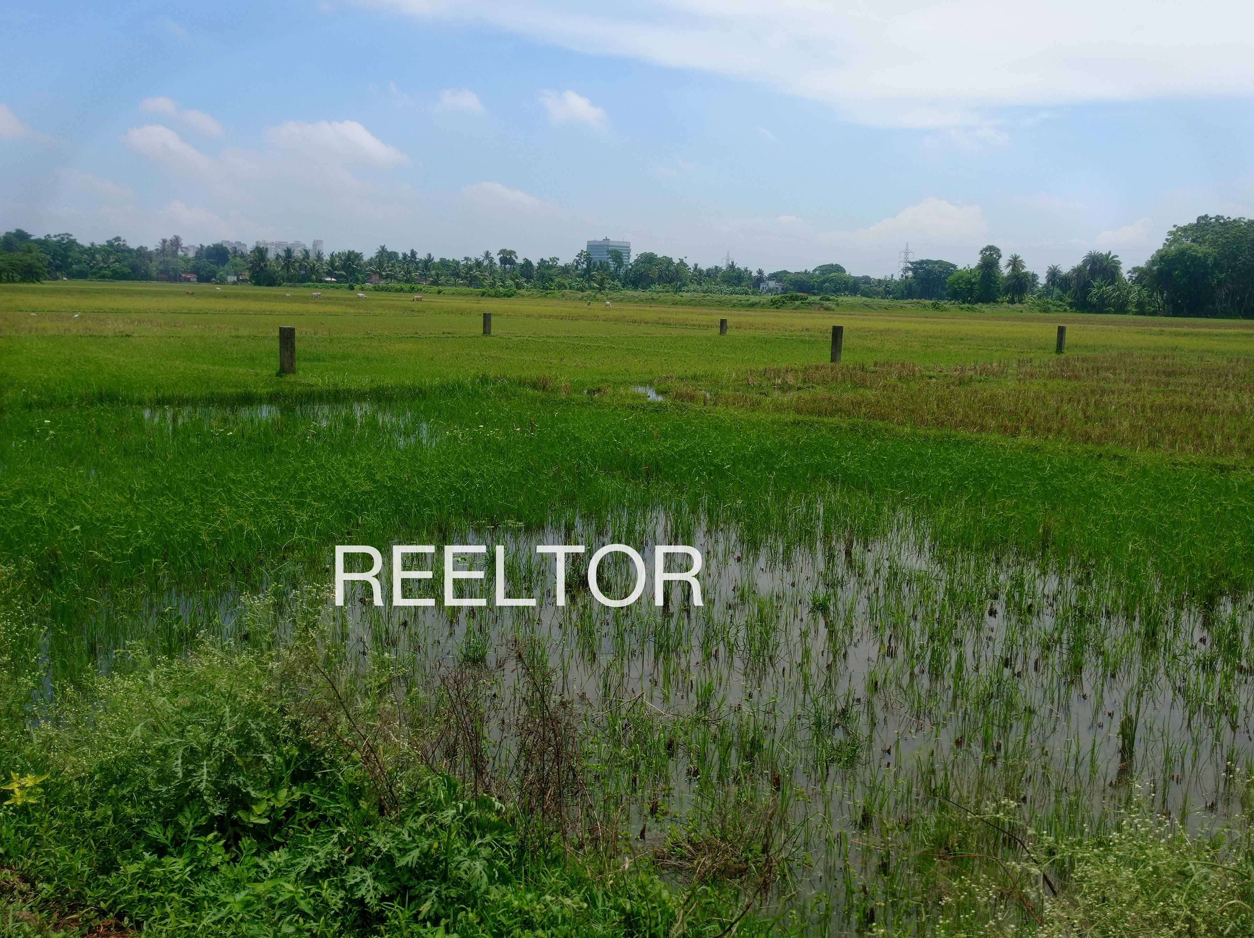 Plots For Sale In Shivrampura Merta