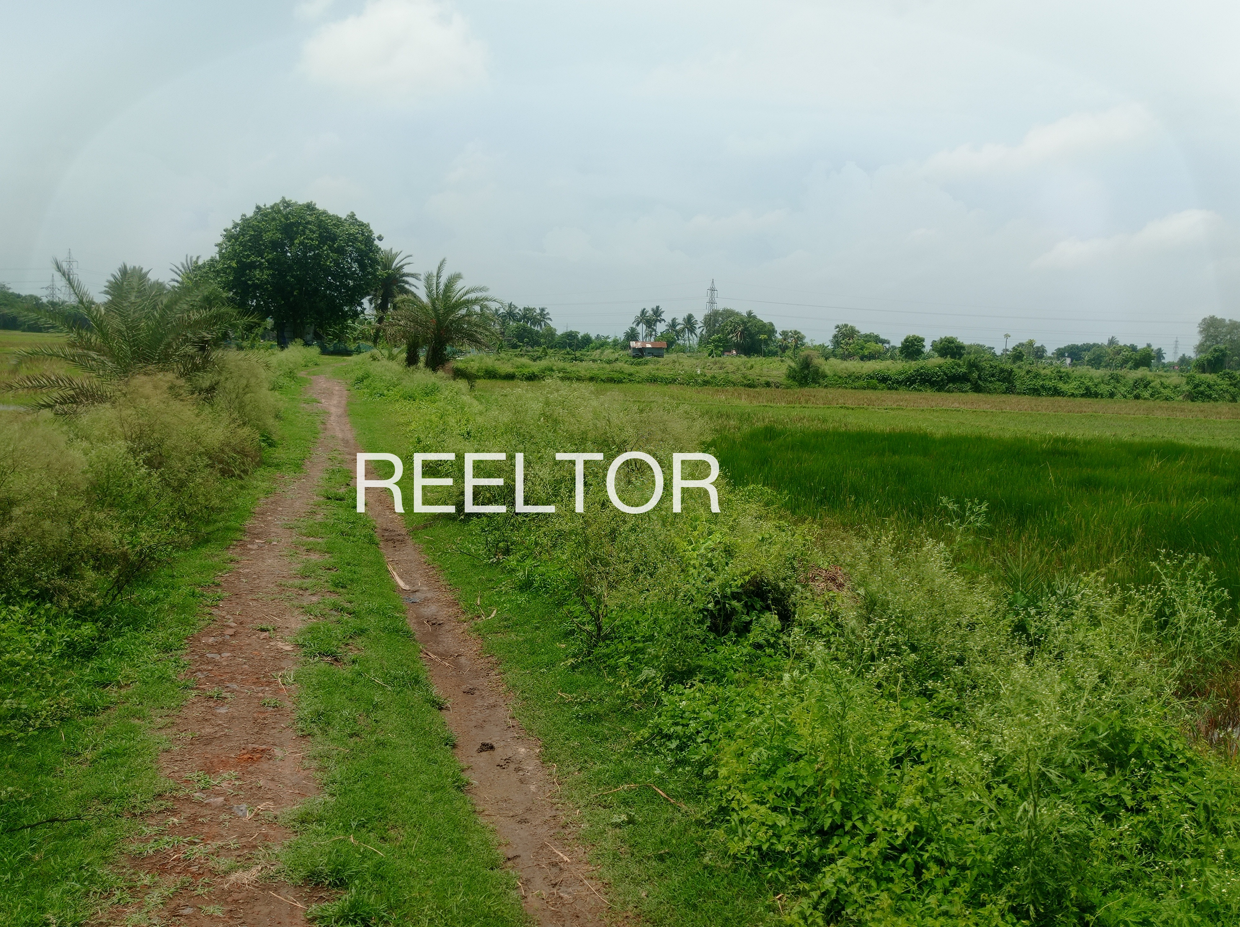 Plots For Sale In Gadhi Mehgaon