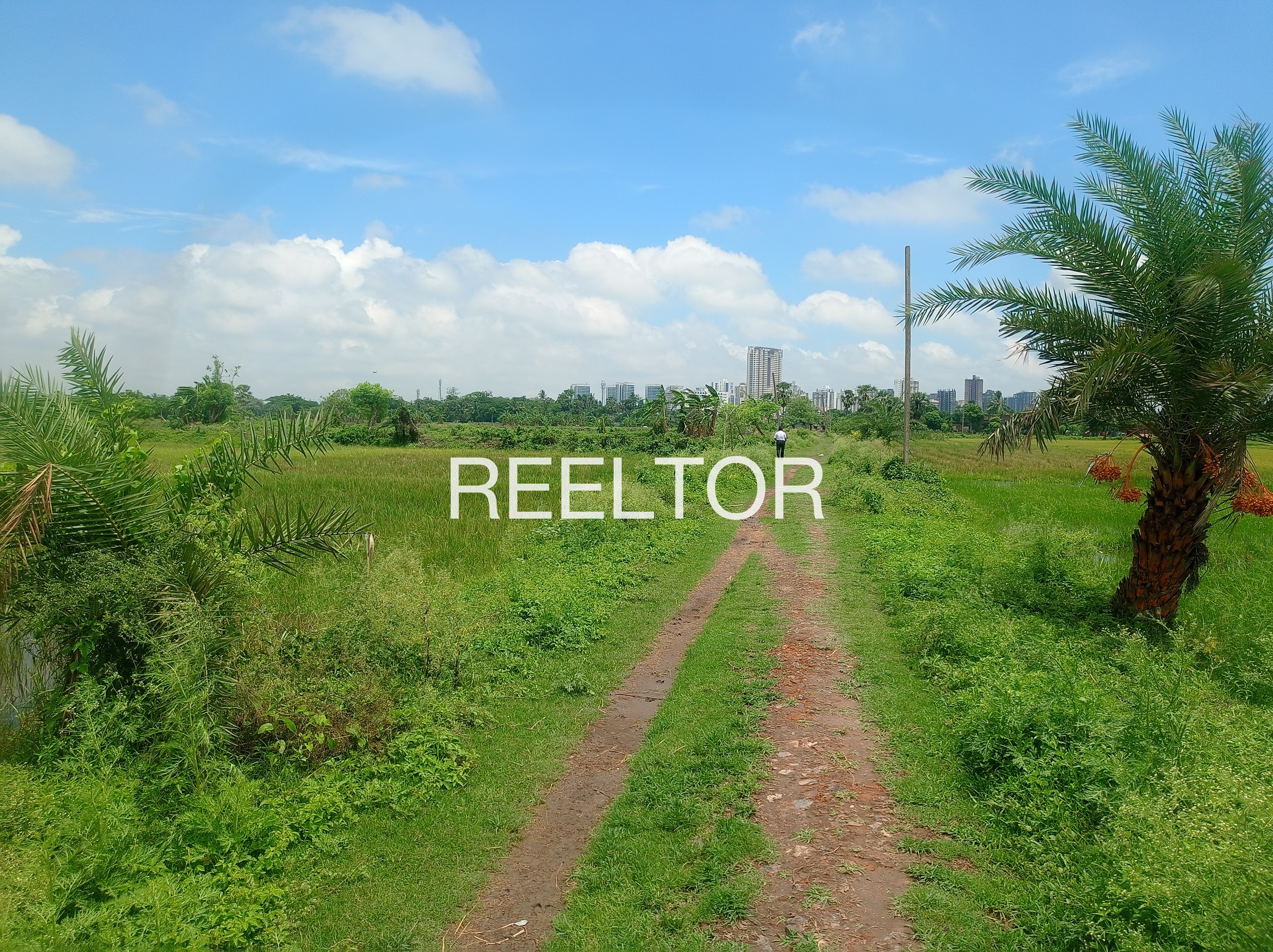 Plots For Sale In Tsokilpur Shangus