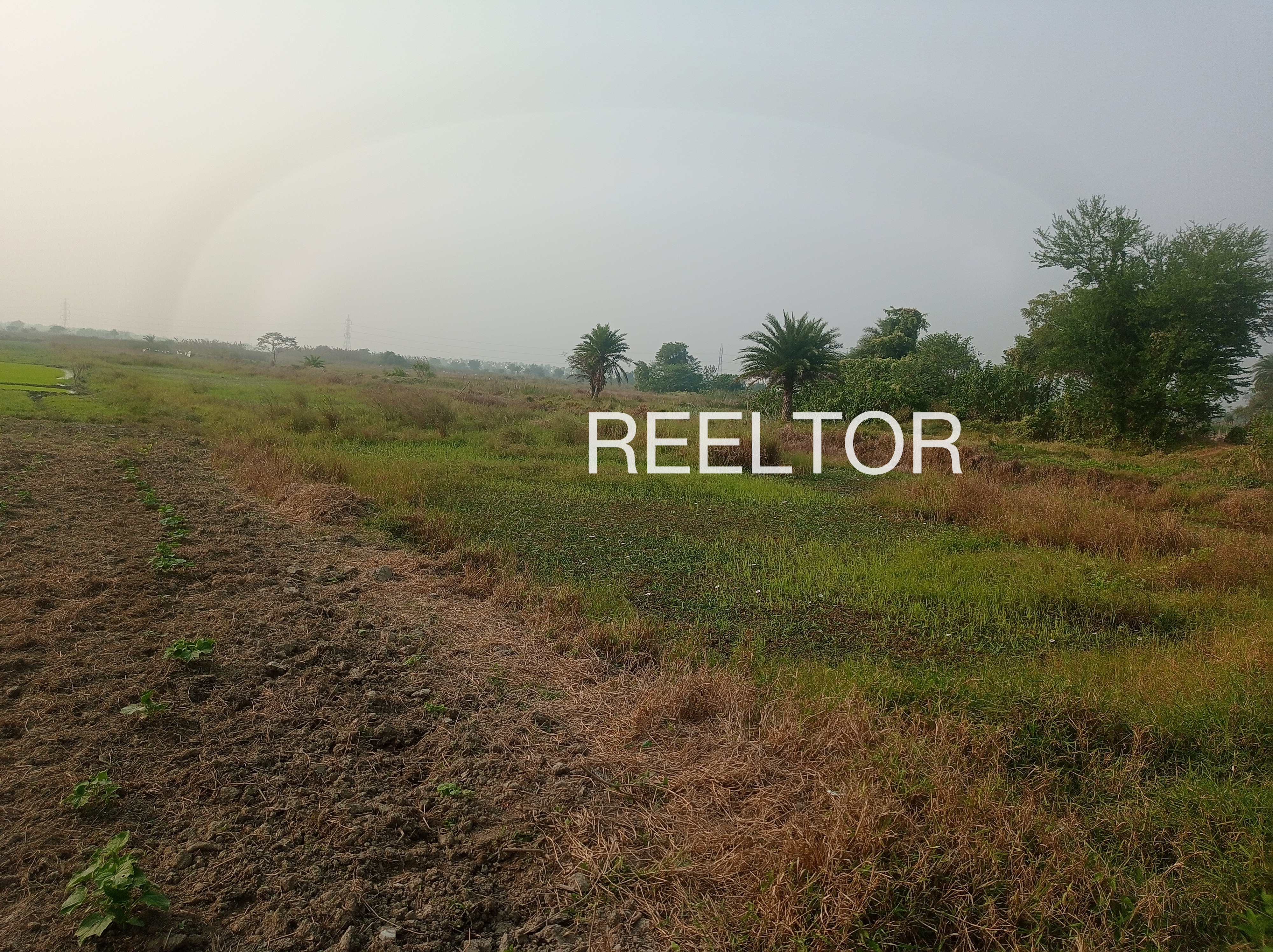 Plots For Sale In Chhapryai Berasia