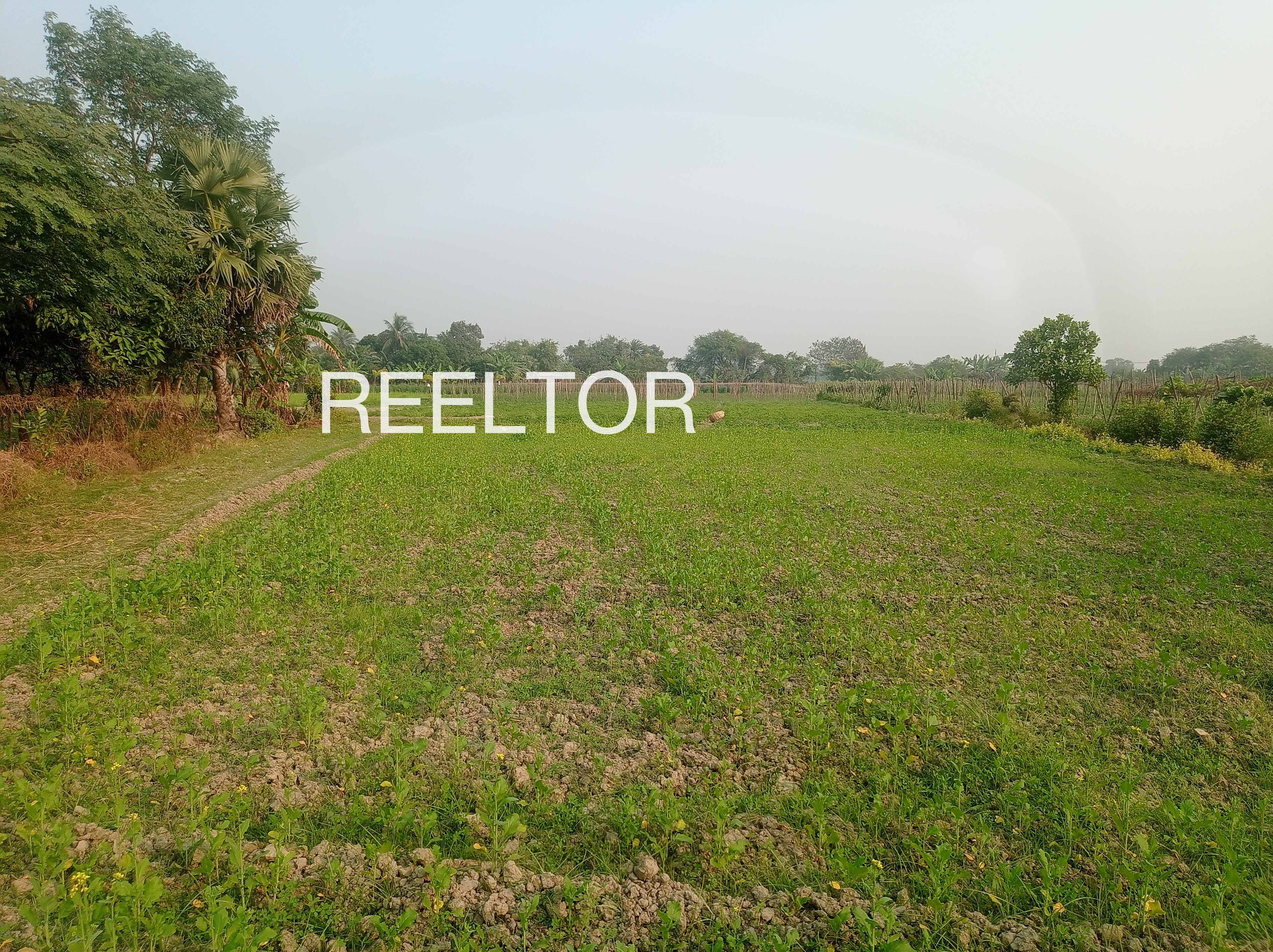 Plots For Sale In Babagail Boniyar