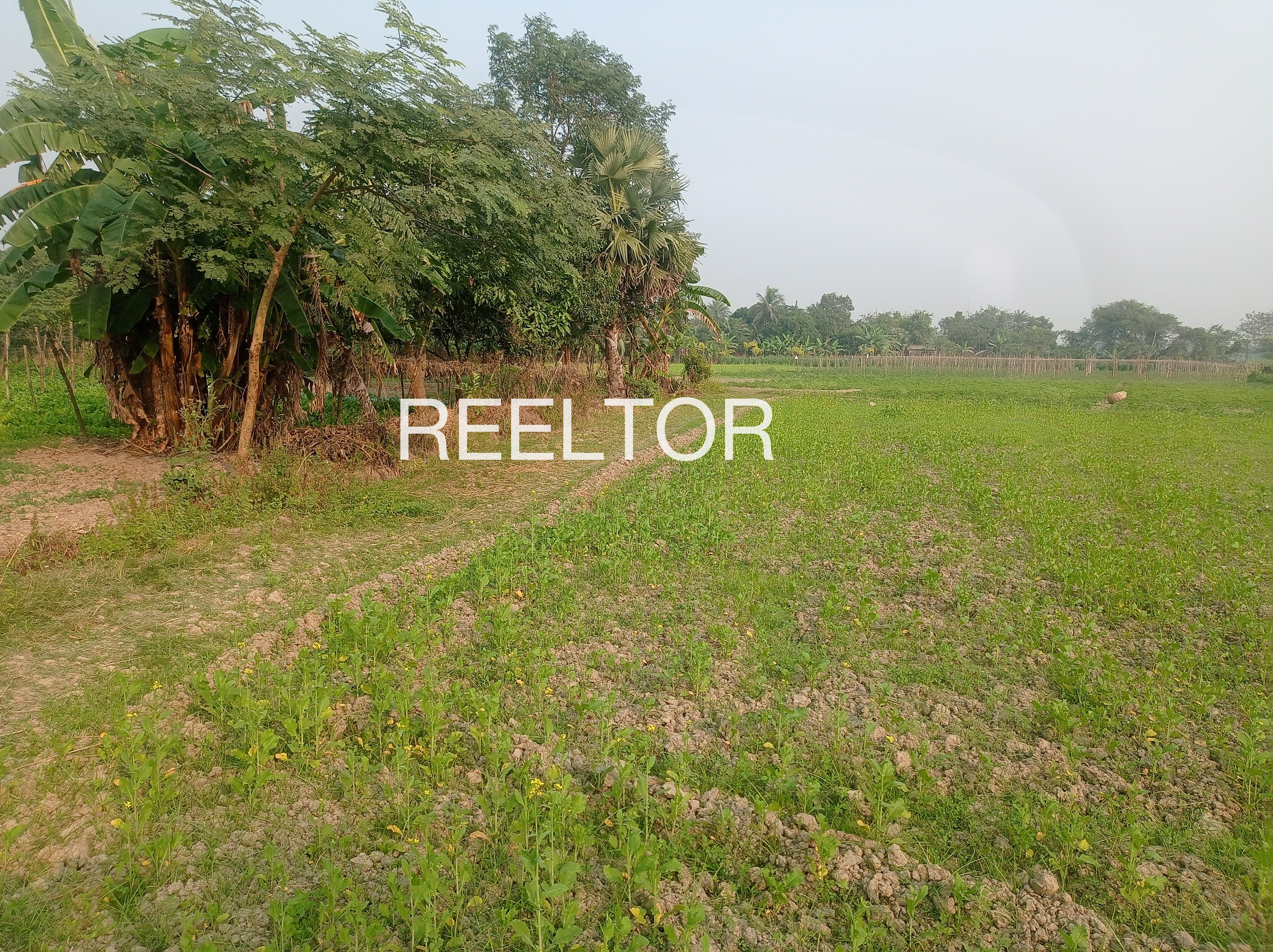 Plots For Sale In Dhanmundipahar Barhait