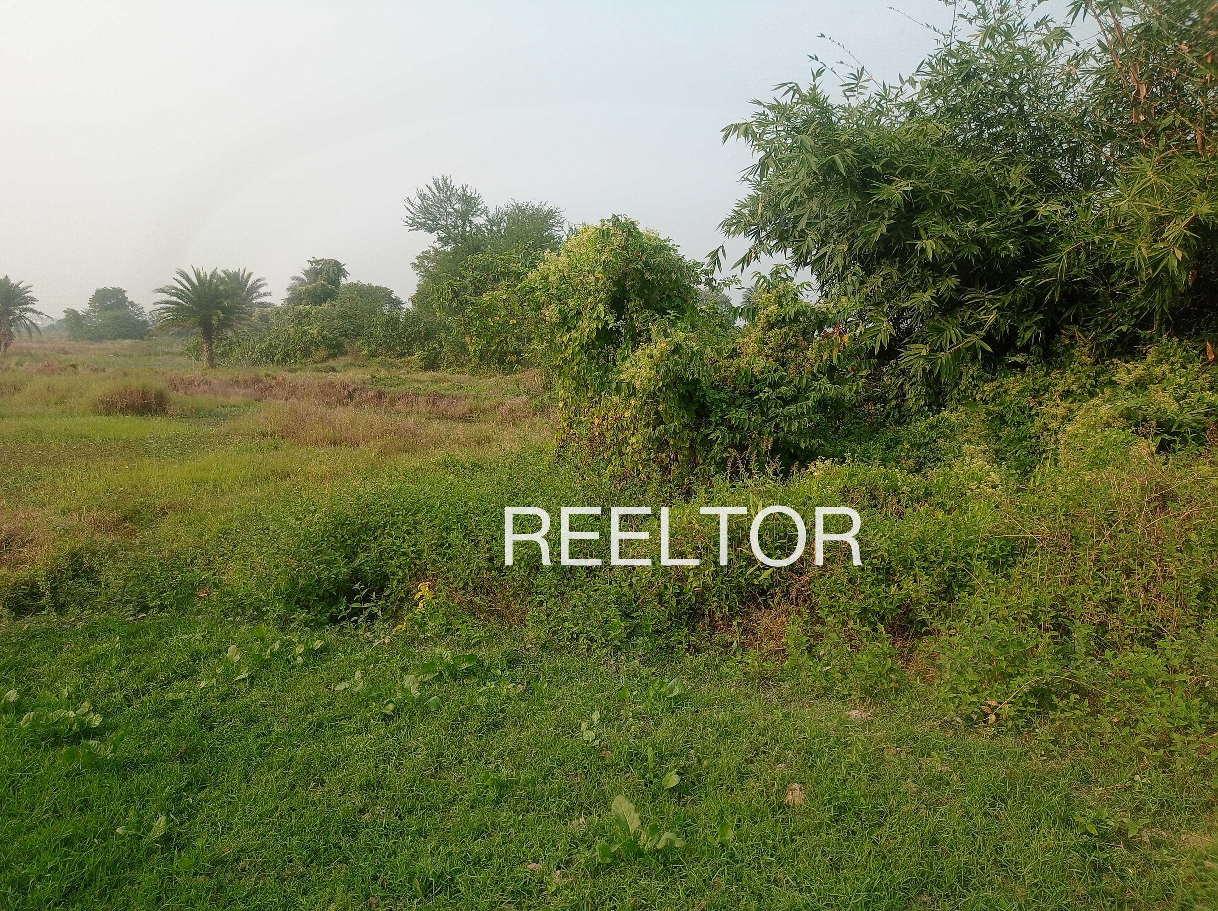 Plots For Sale In Poyyaputhur Krishnarayapuram