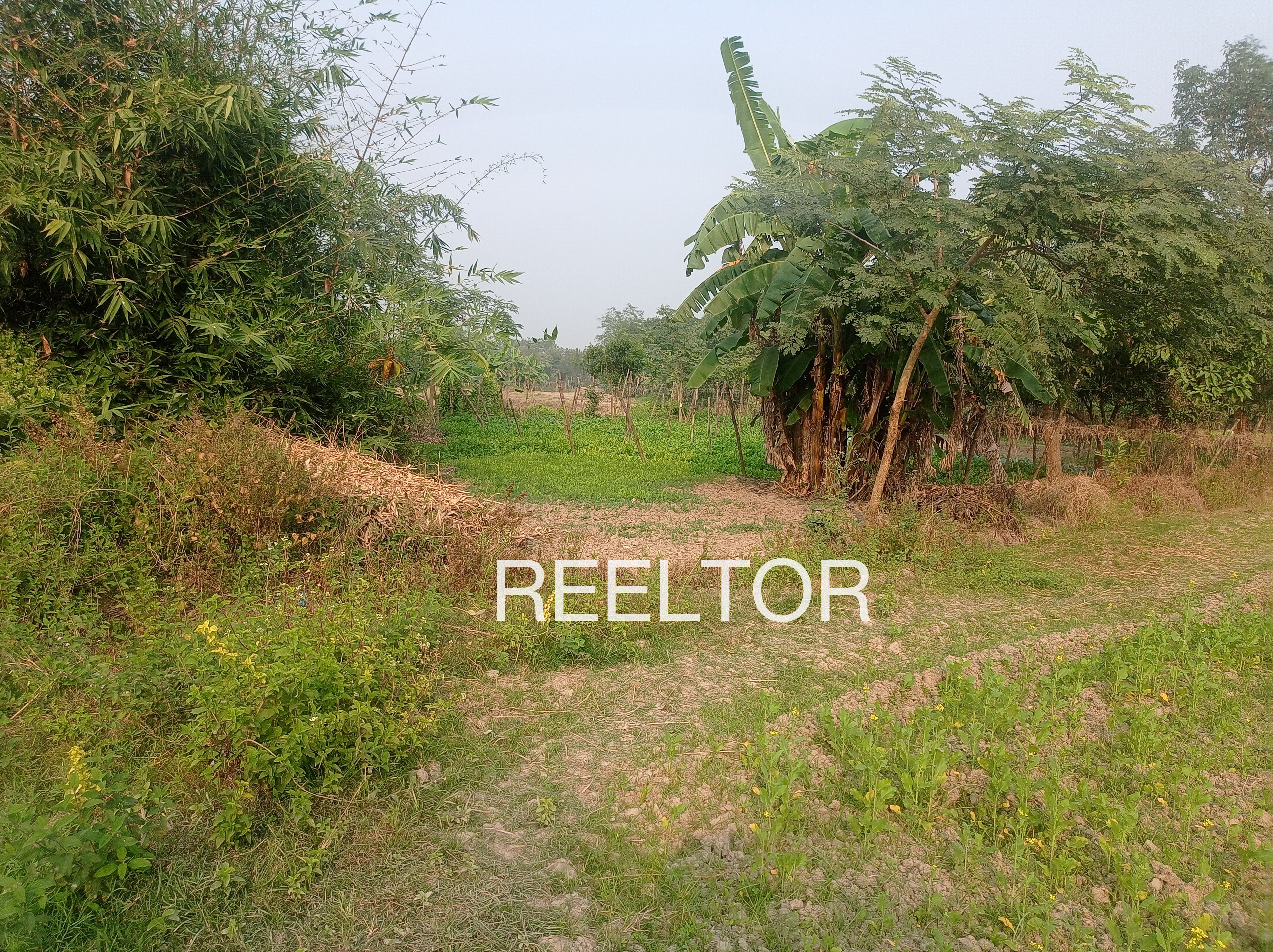 Plots For Sale In Yelabara Yavatmal