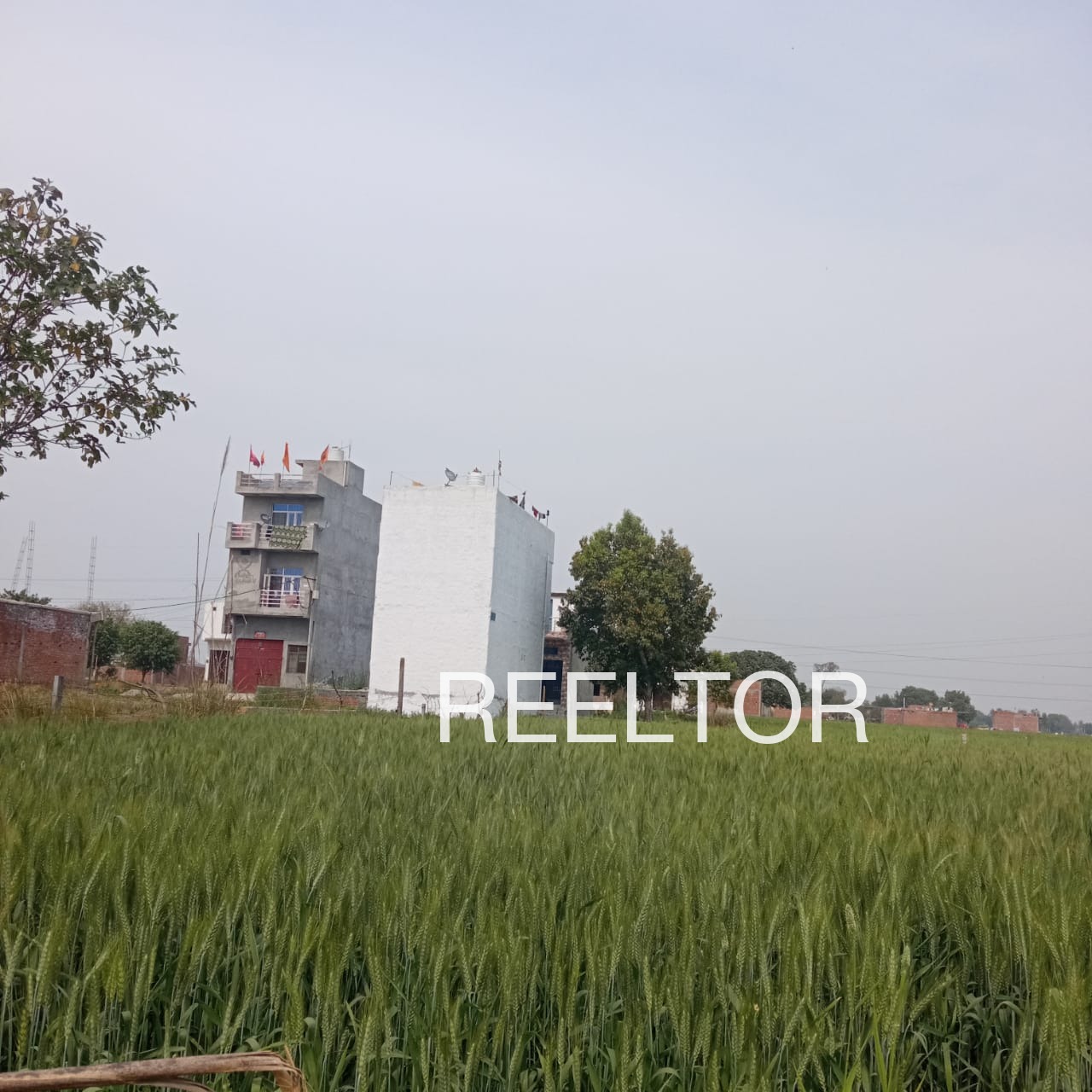Plots For Sale In Balt Mandi