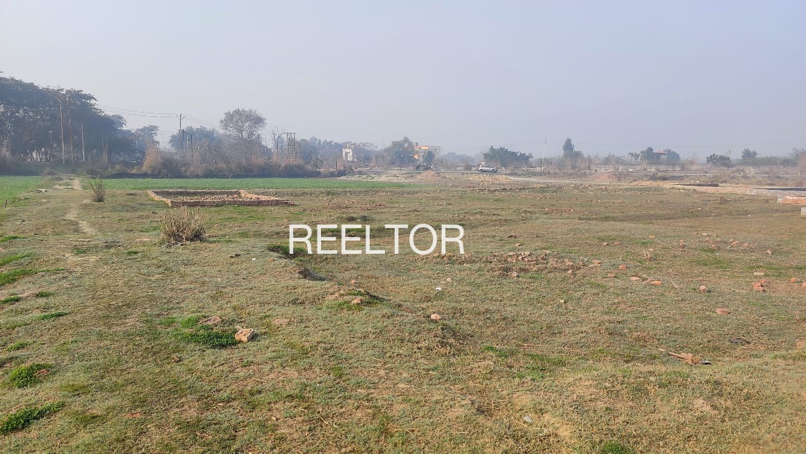 Plots For Sale In Roopa Sau Ki Dhani Chohtan