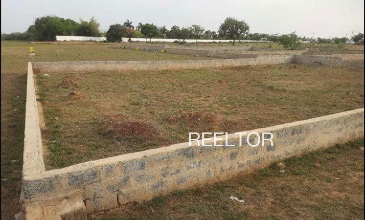 Plots For Sale In Rajeev Nagar Housing Colony Kannur