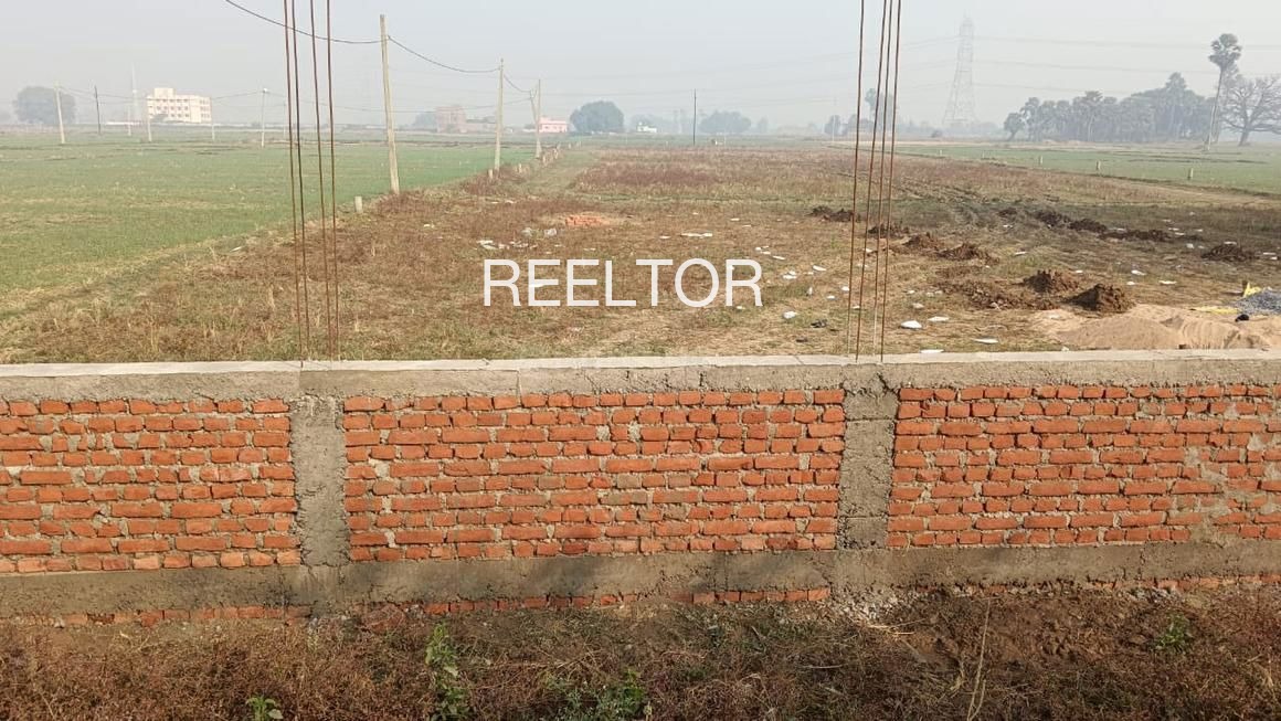 Plots For Sale In Chhitapal Majholi