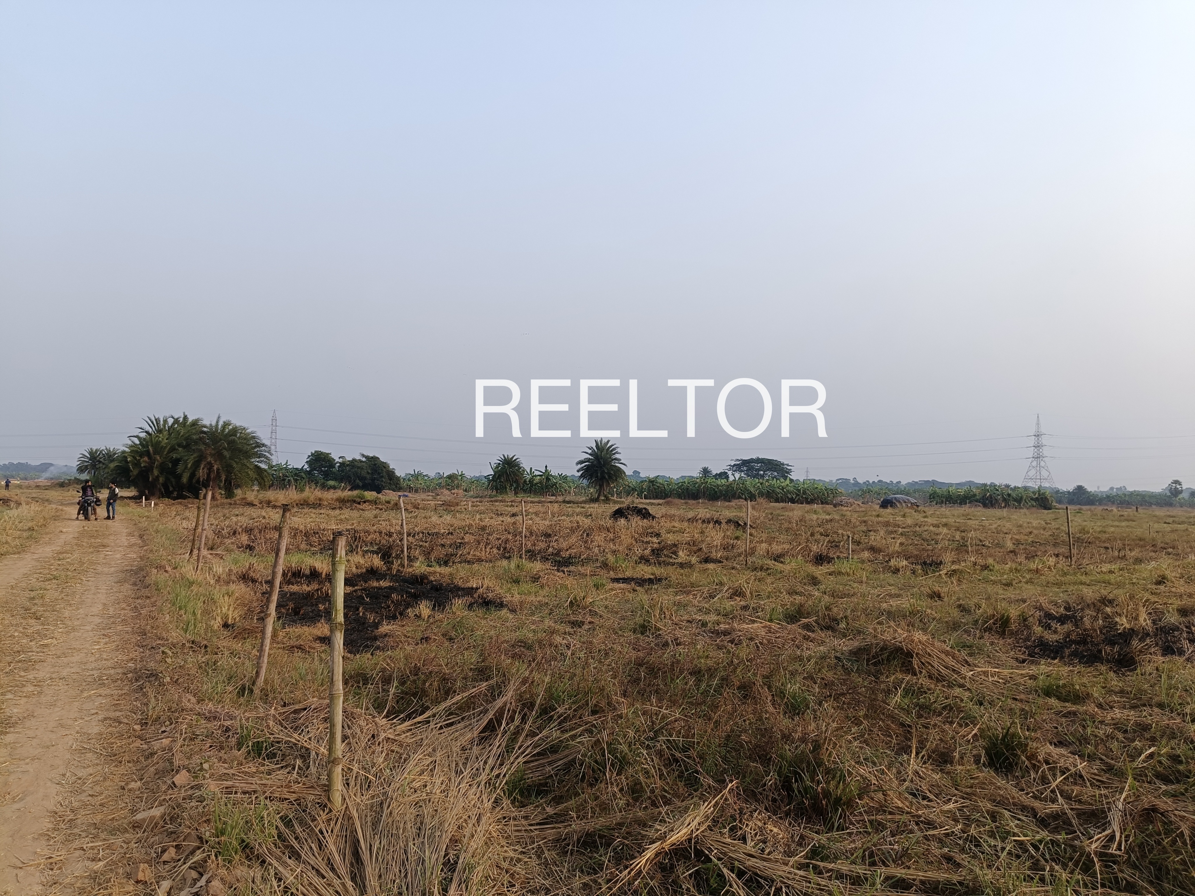 Plots For Sale In Shiva Nagar Baramati