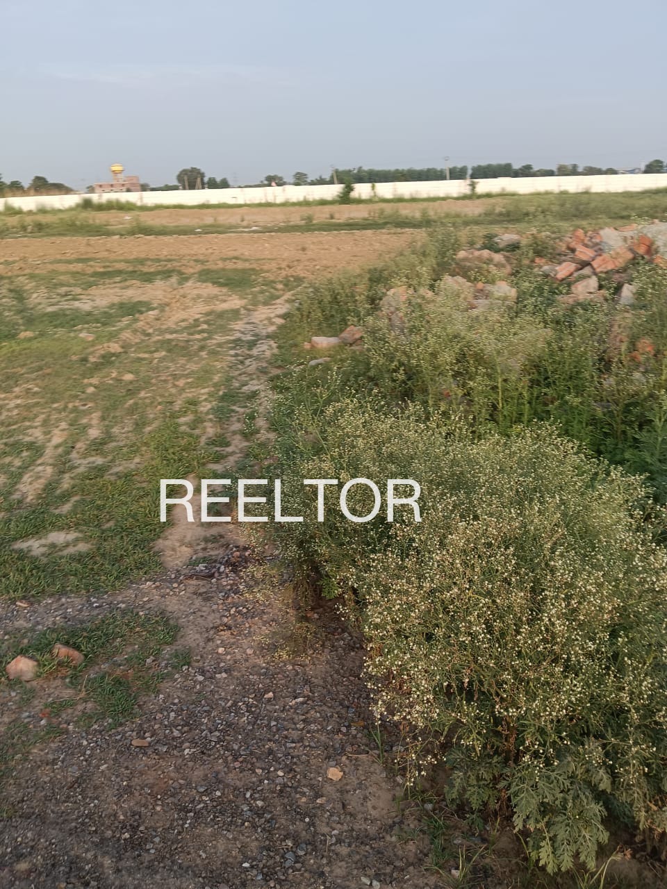 Plots For Sale In Kishanpura Khurd Dharamkot