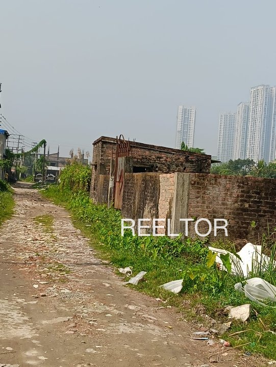 Plots For Sale In Chhapryai Berasia