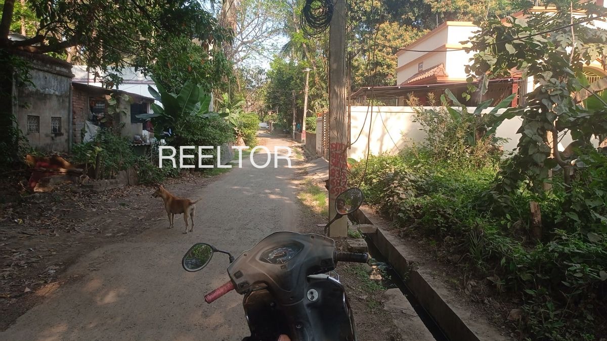 Plots For Sale In Mulchera Maharashtra