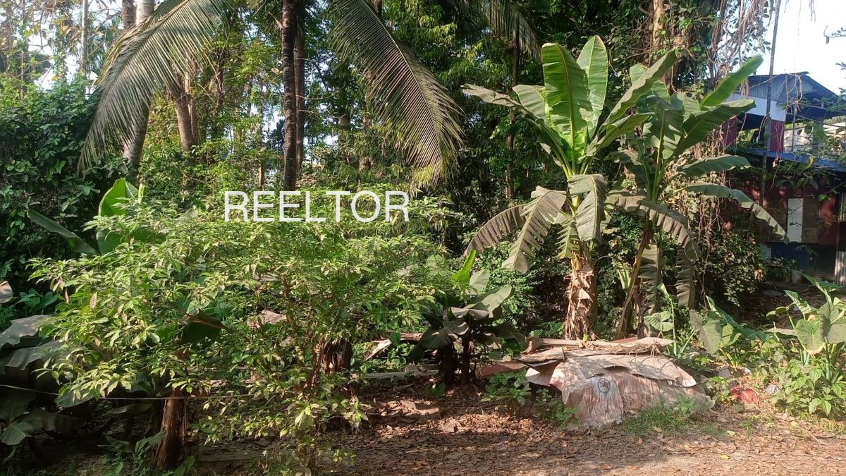 Plots For Sale In Dhulmahu Ghatiya