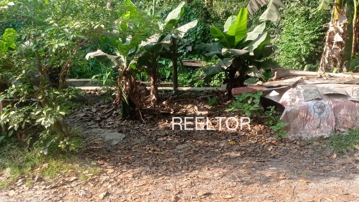 Plots For Sale In Langhane Nave Sindkheda