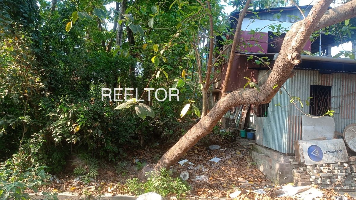 Plots For Sale In Palan Khera Govindgarh