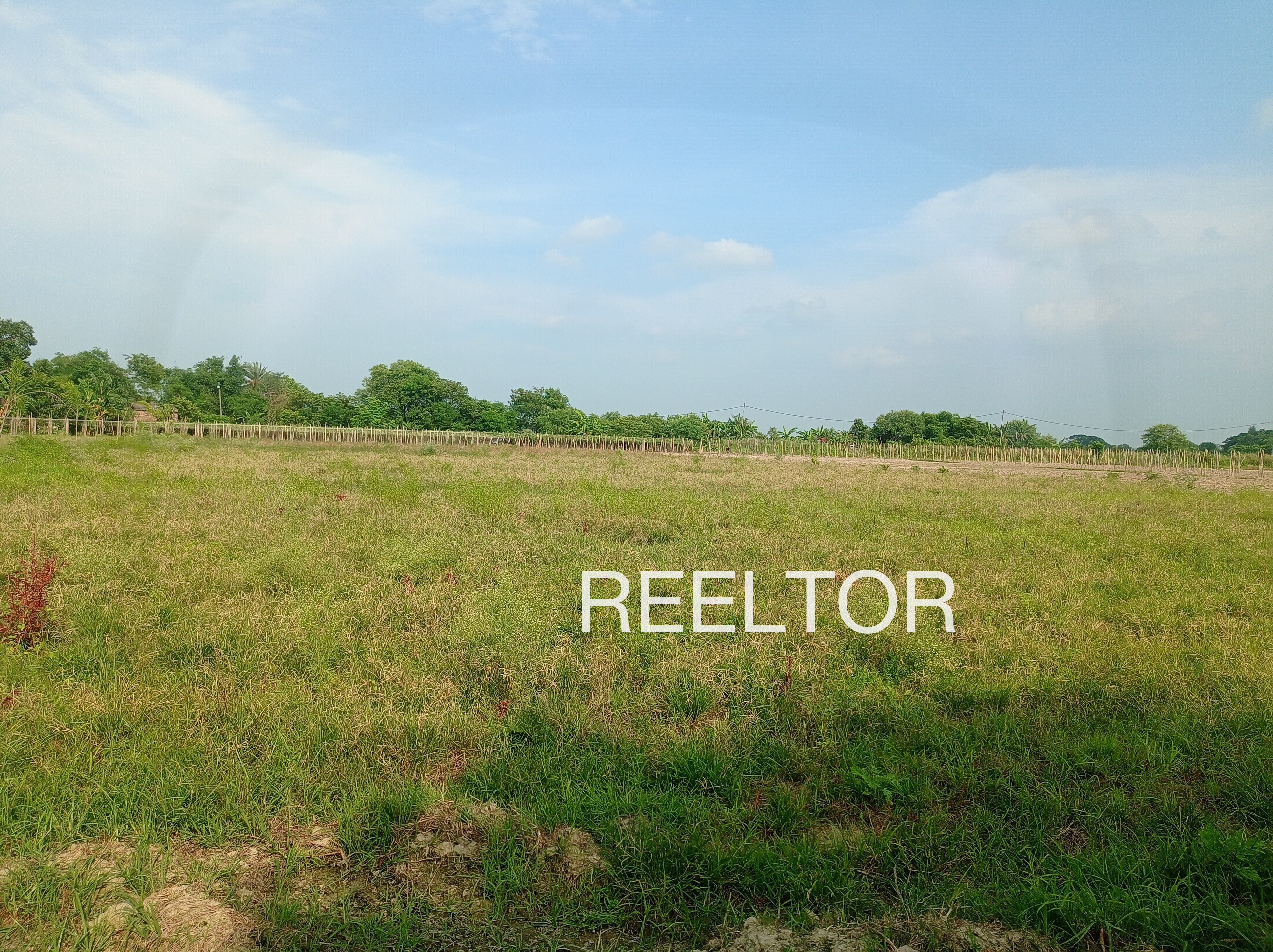 Plots For Sale In Barahtha Majhgawan