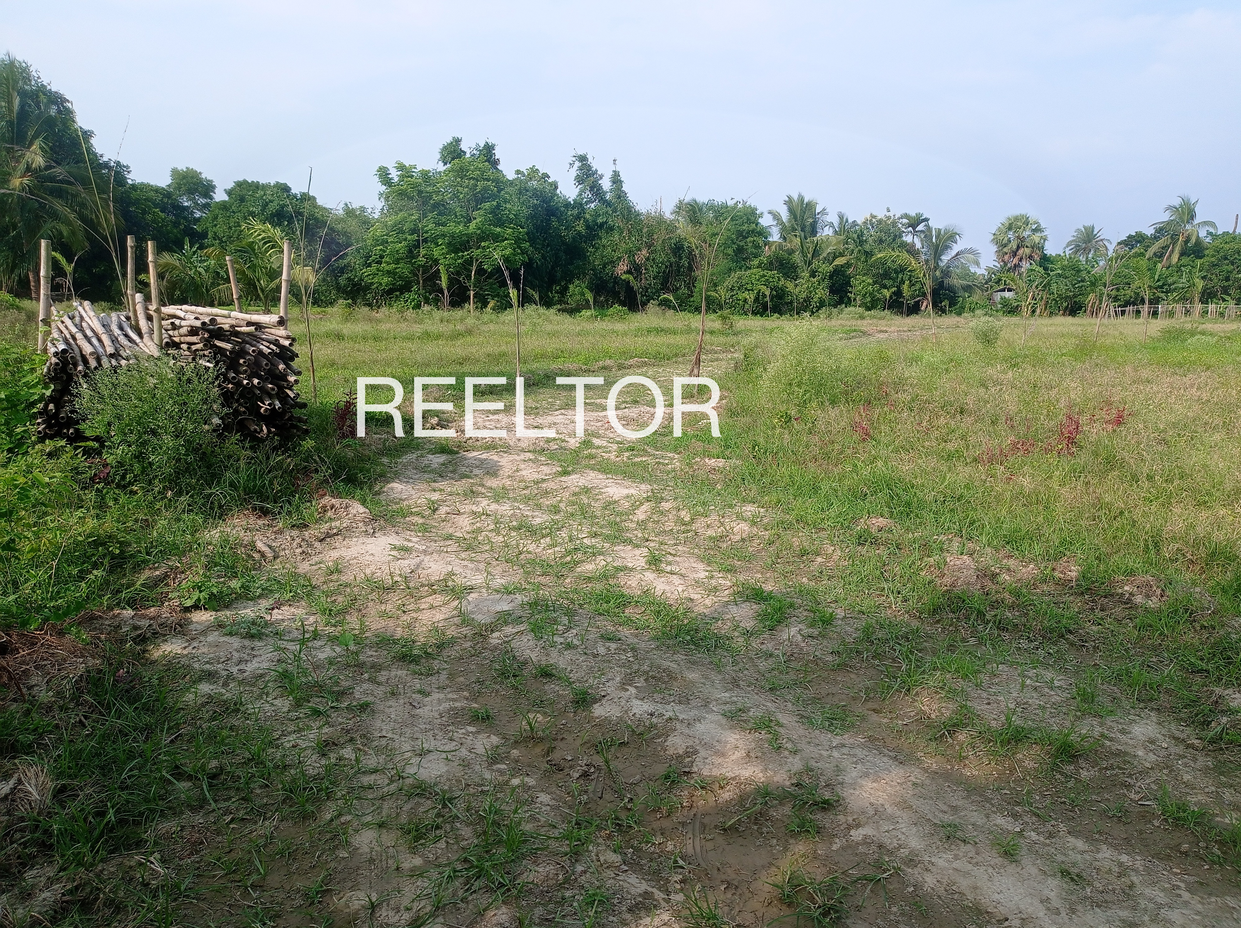 Plots For Sale In Sankal Khera Chittaurgarh