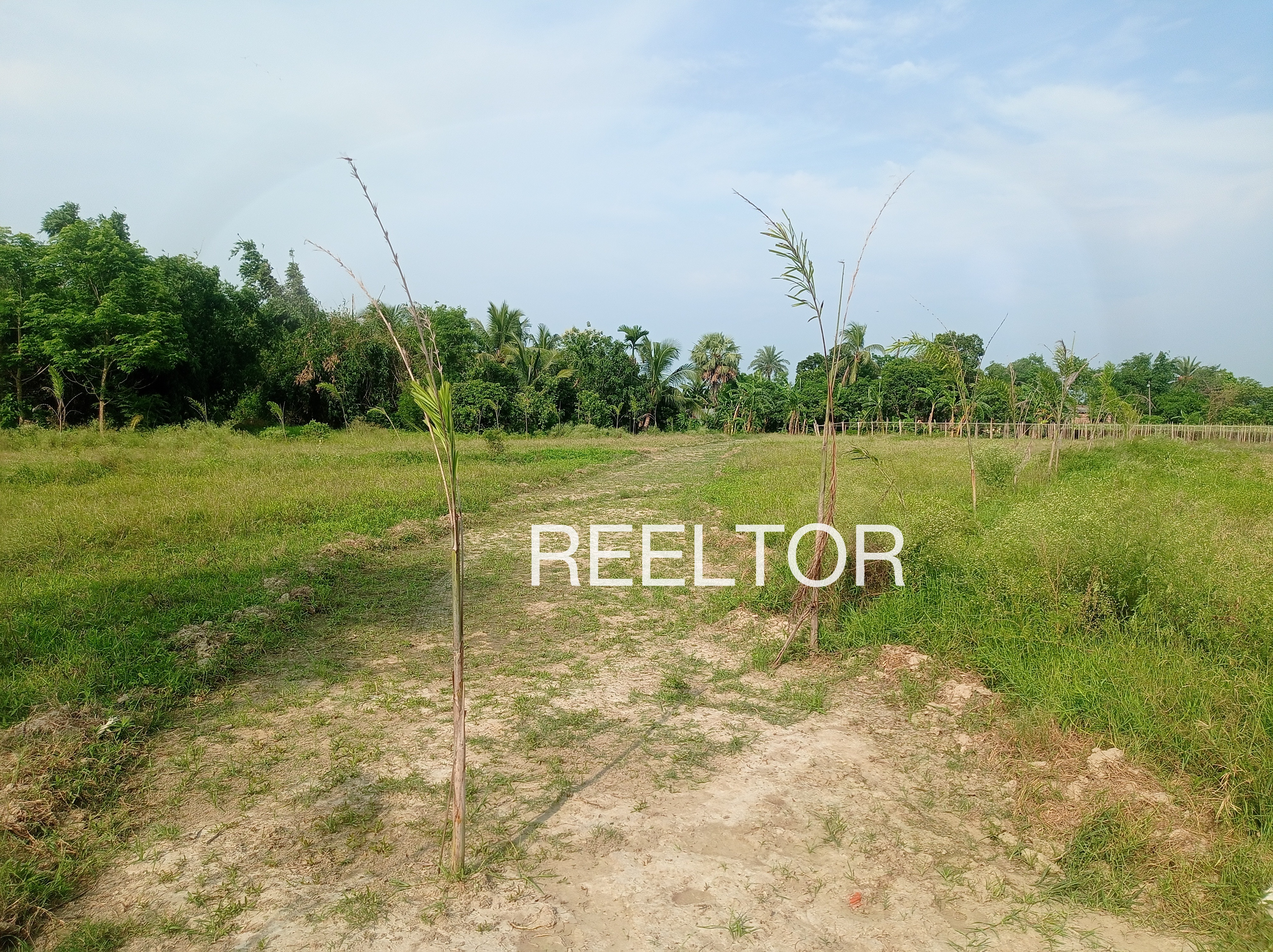 Plots For Sale In Gadhi Mehgaon