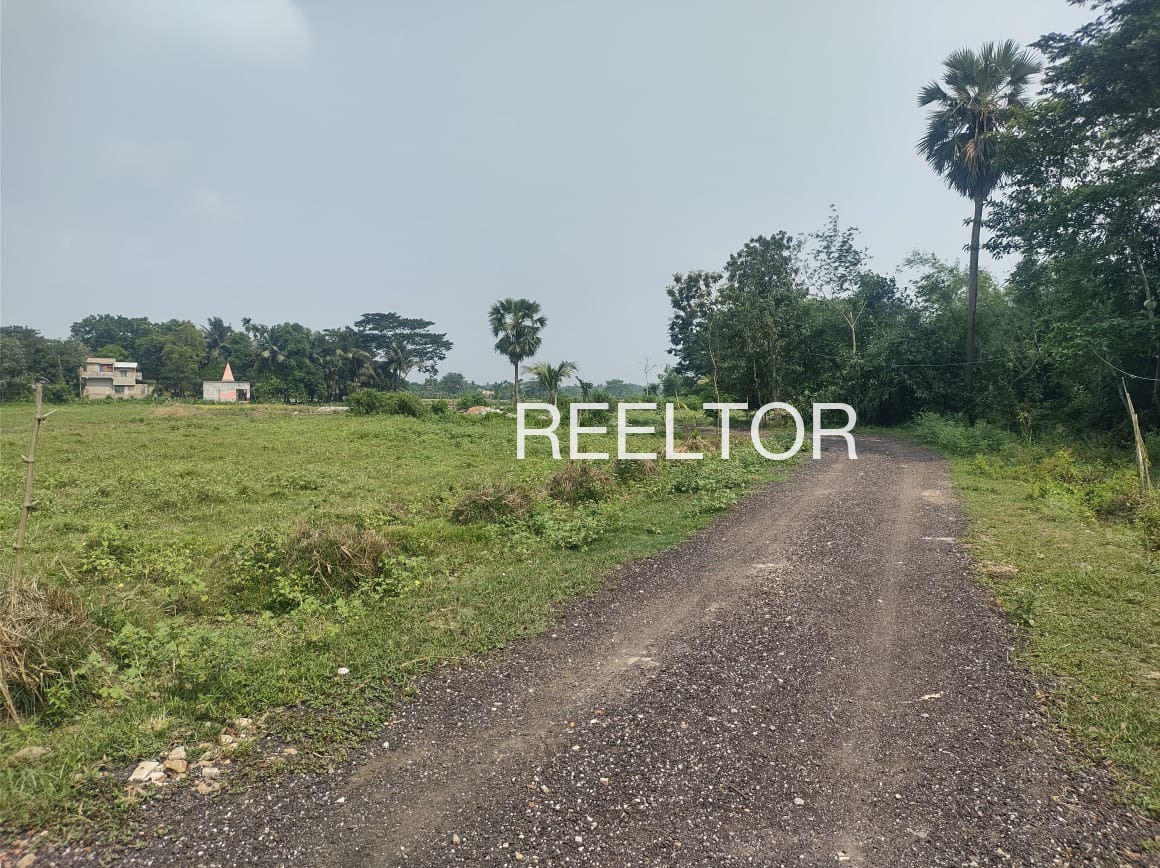 Plots For Sale In Roopa Sau Ki Dhani Chohtan