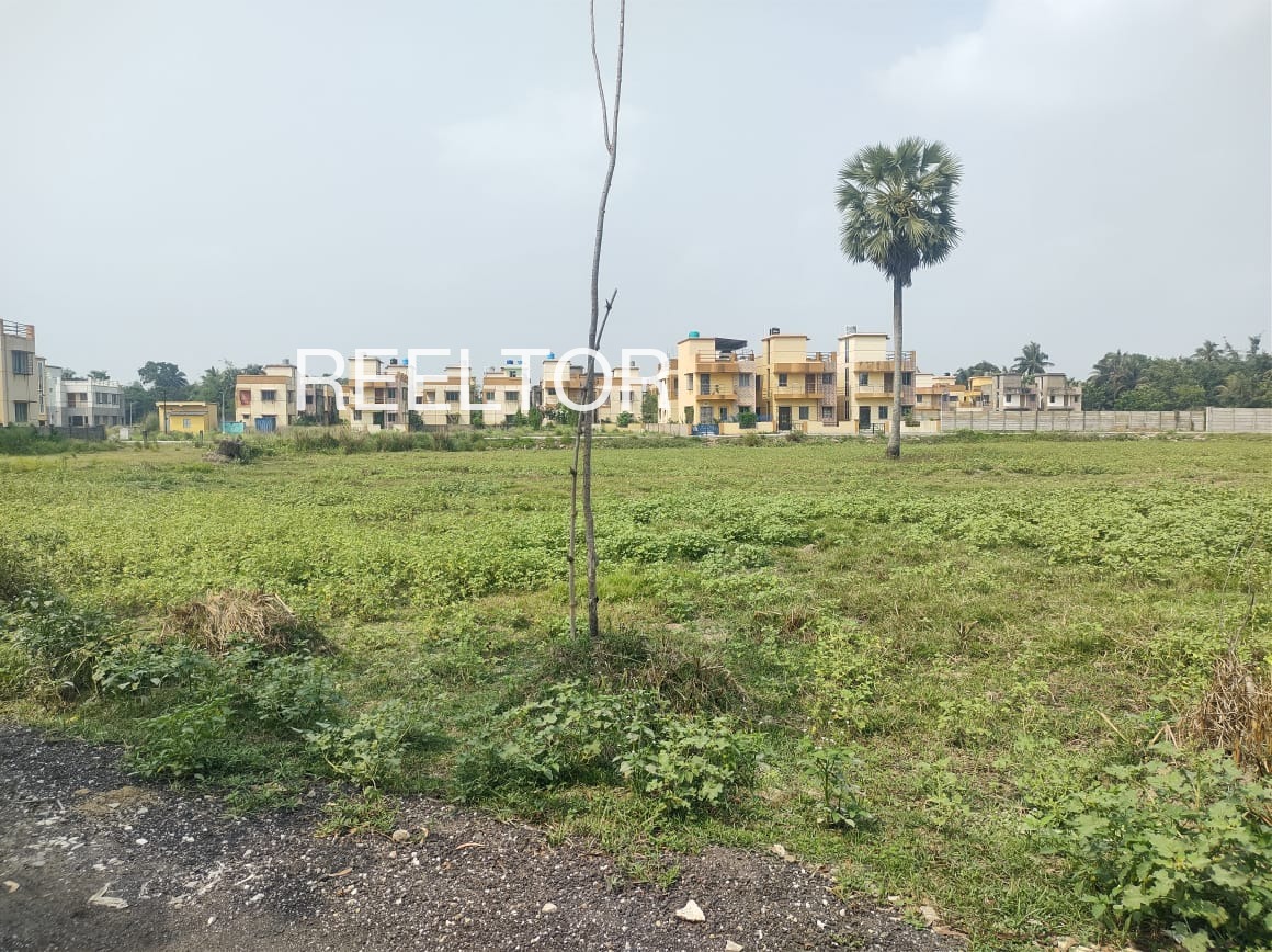 Plots For Sale In Sukwaha Badgaon Dhasan