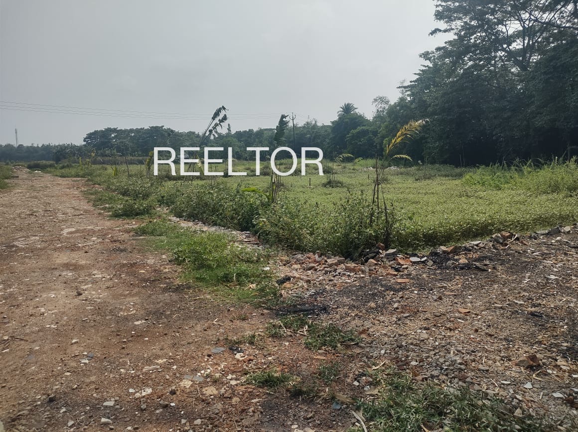 Plots For Sale In Asan Jilelao Raipur