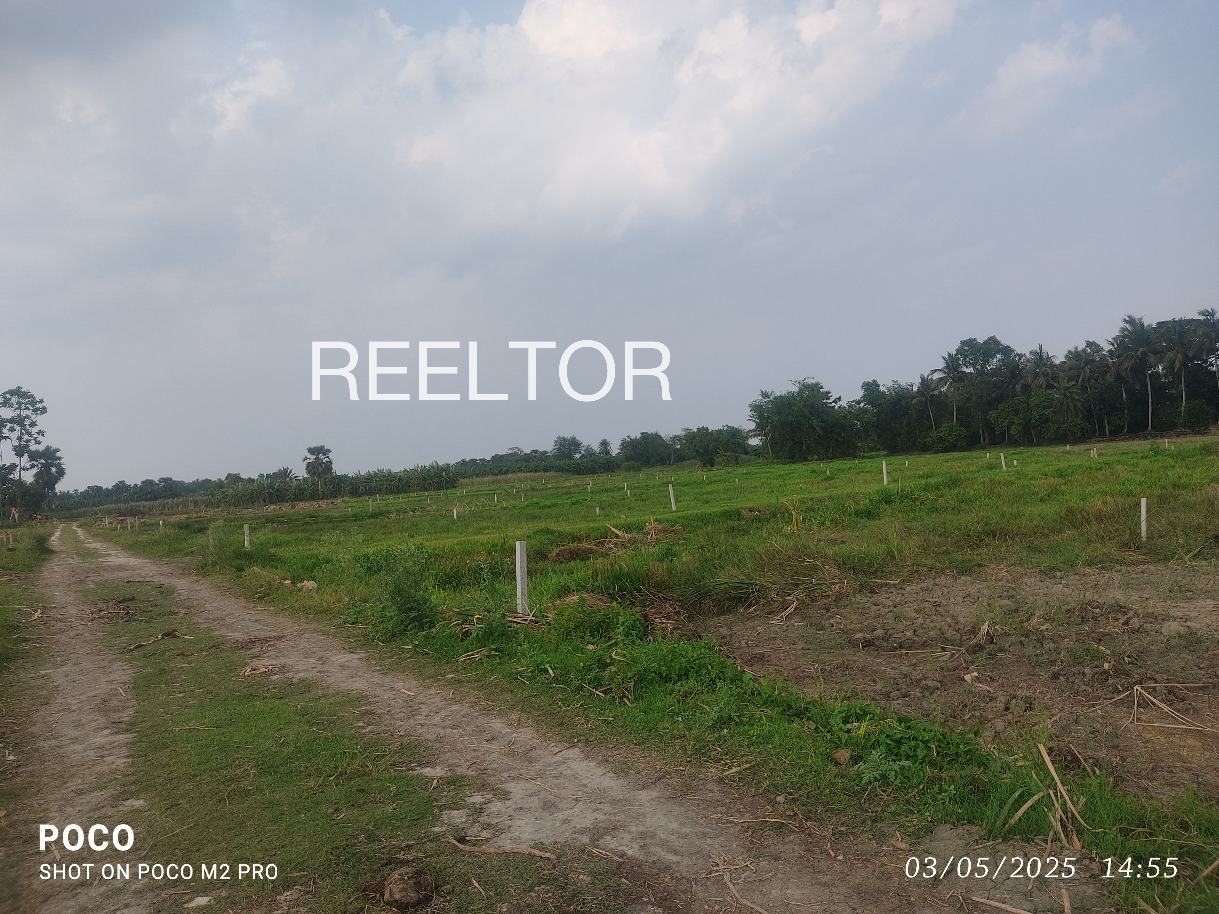 Plots For Sale In Tas Bhiwapur