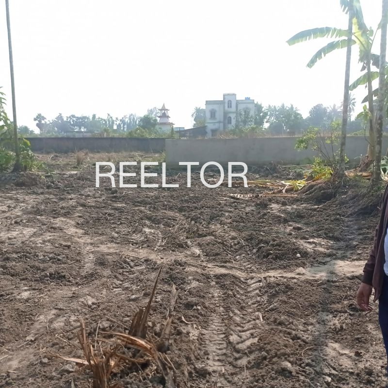 Plots For Sale In Bachhola Nainwa