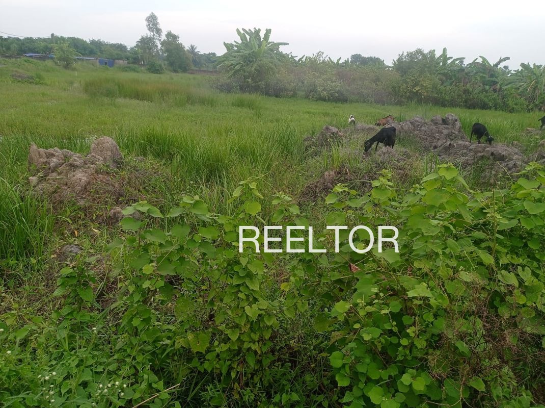 Plots For Sale In Darh Chachyot